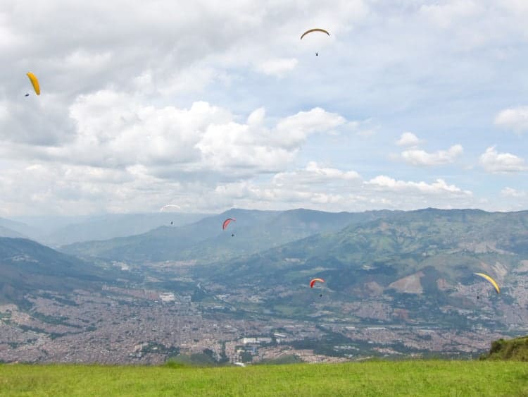 Paragliders