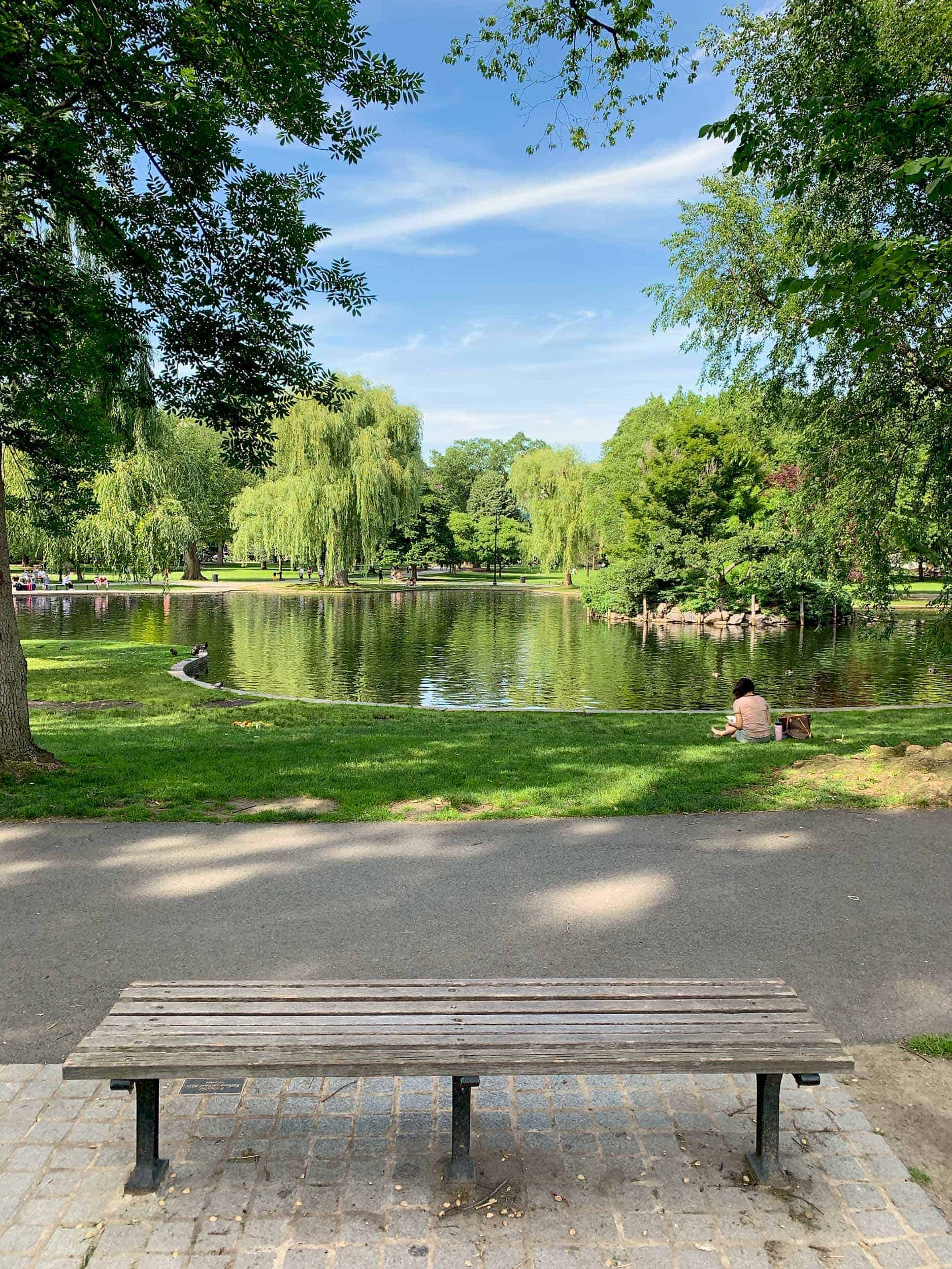 Bench from the movie Good Will Hunting