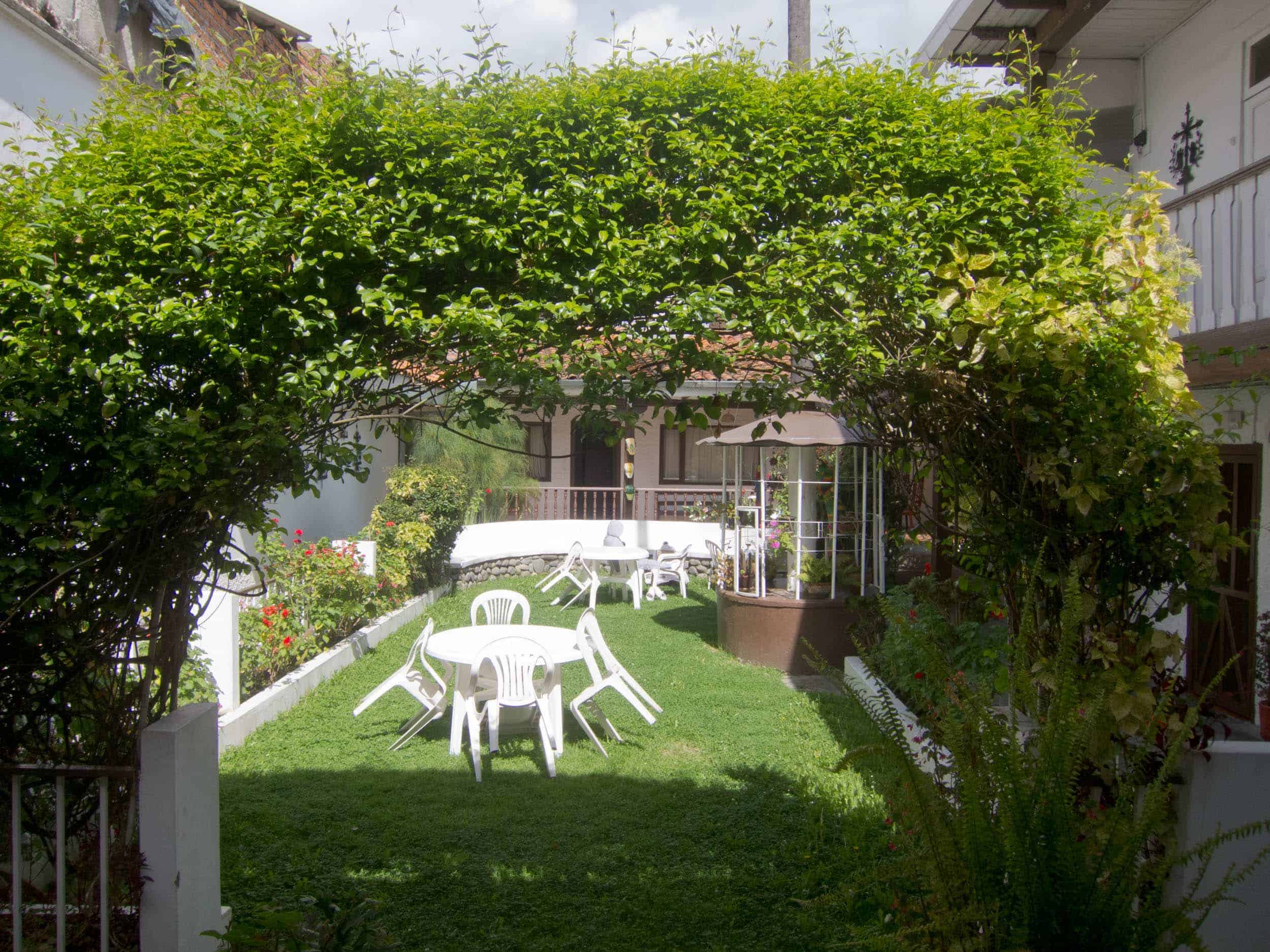 Garden at Hostal Macondo