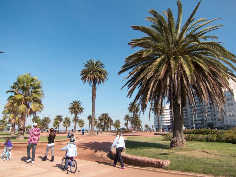 Montevideo travel guide