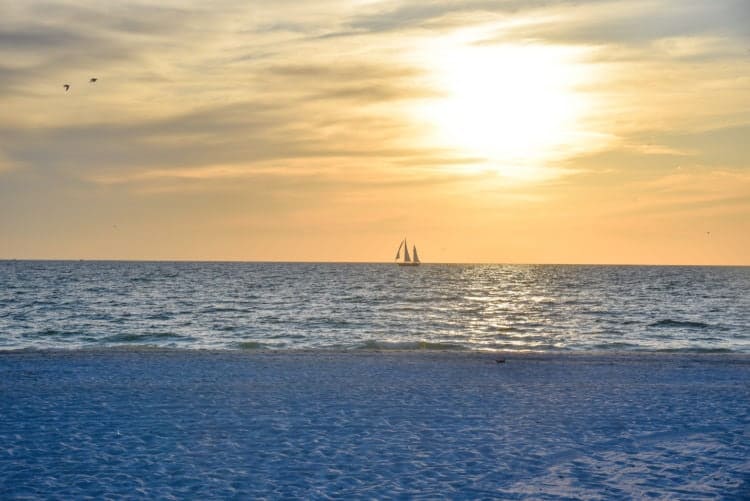 Coquino Beach is one of the most popular beaches on the Gulf Coast