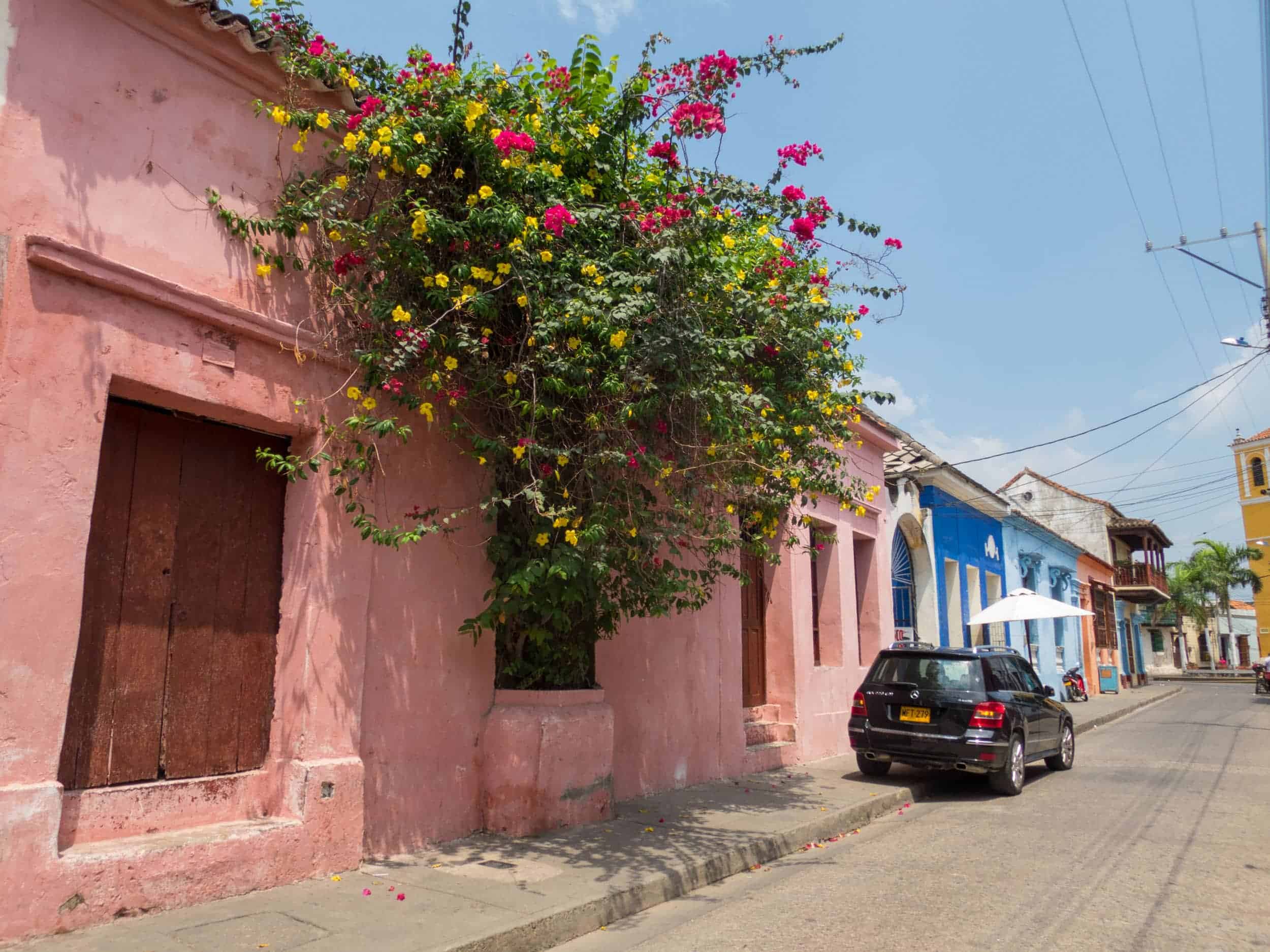 Flowers on a Cartagena street