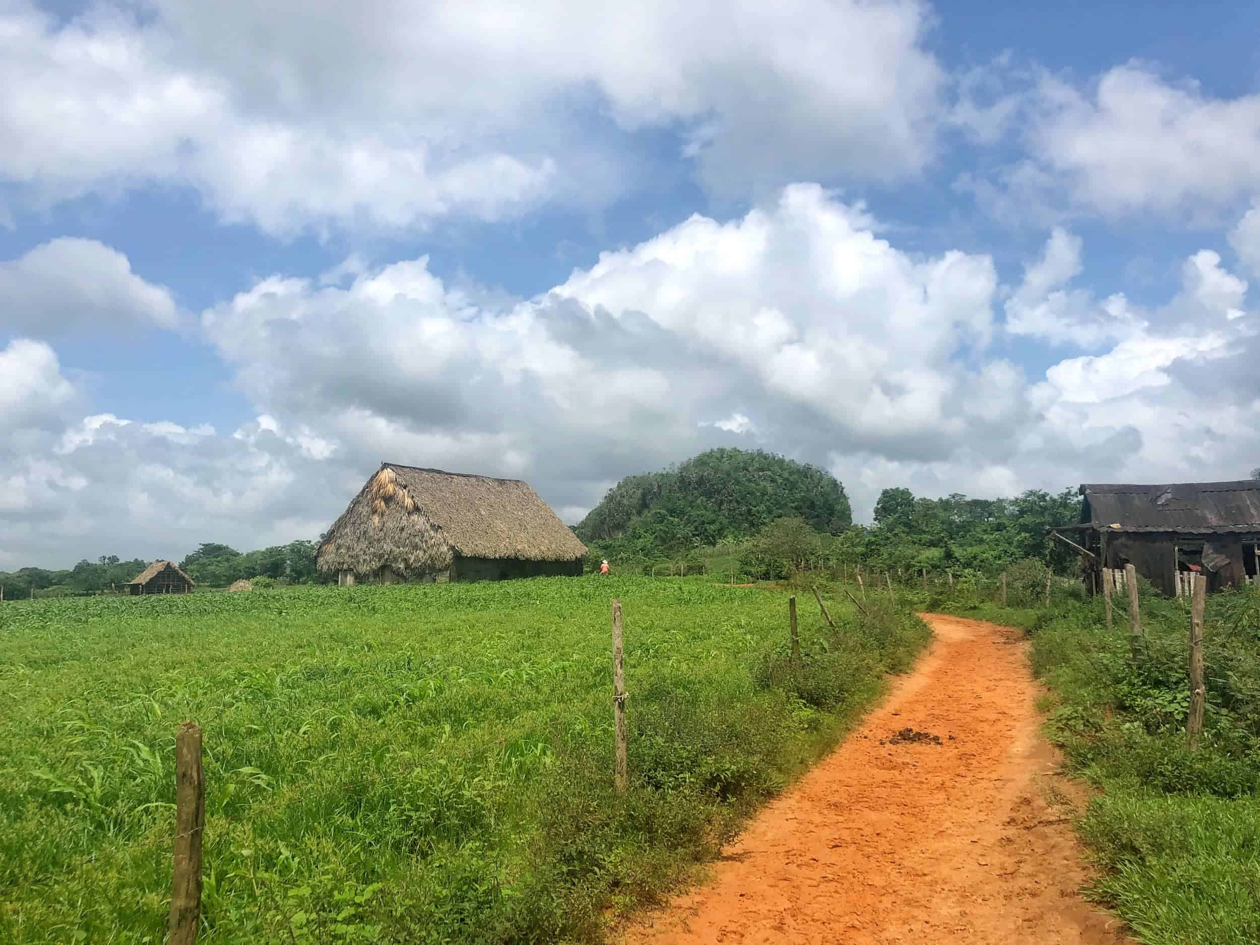 A tobacco farm in Vinales, one of the prettiest places to visit in Cuba