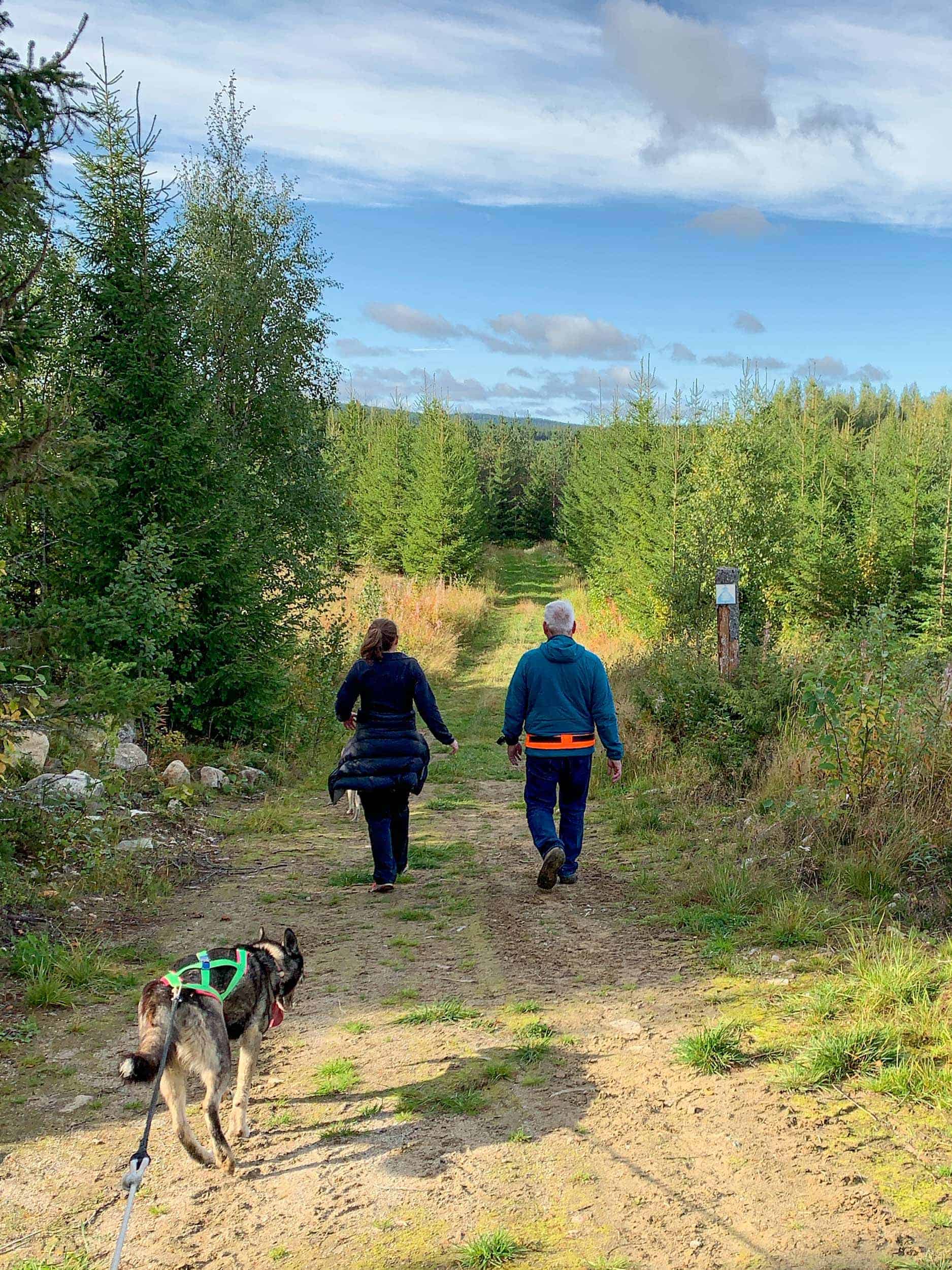 Walking in Swedish Lapland