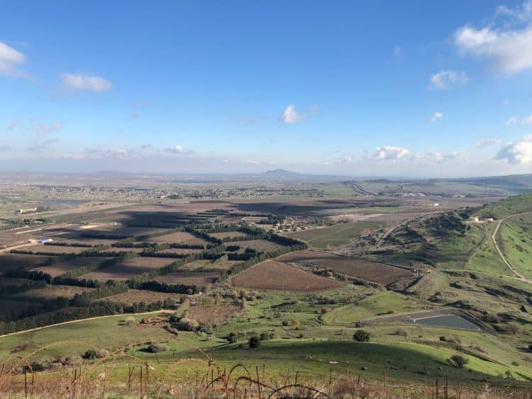 Mount Bental