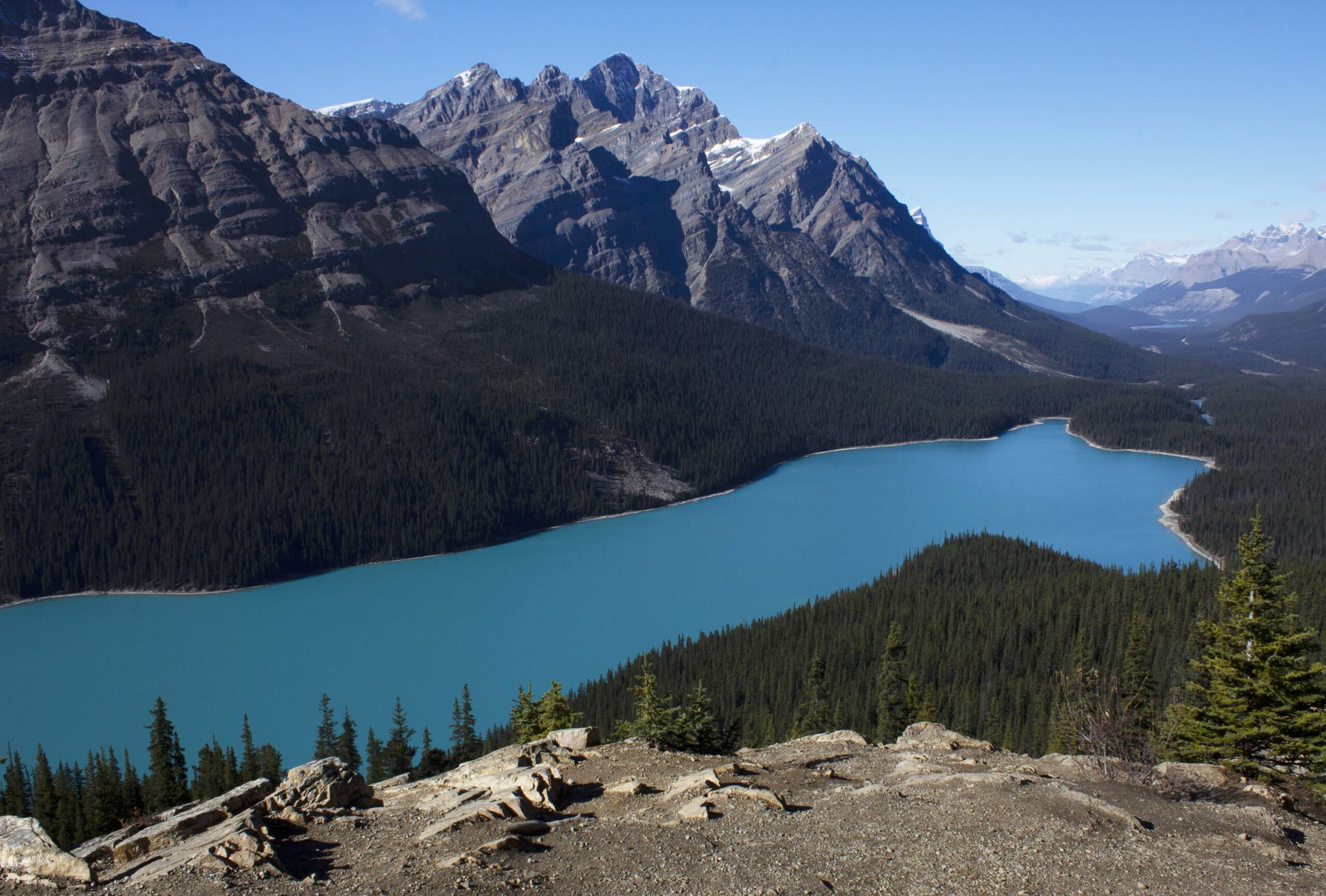 Peyto Lake is visible on road trips in Alberta, Canada