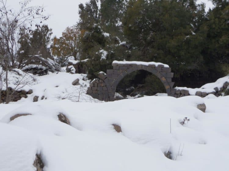 Snow in Bashanit Ridge