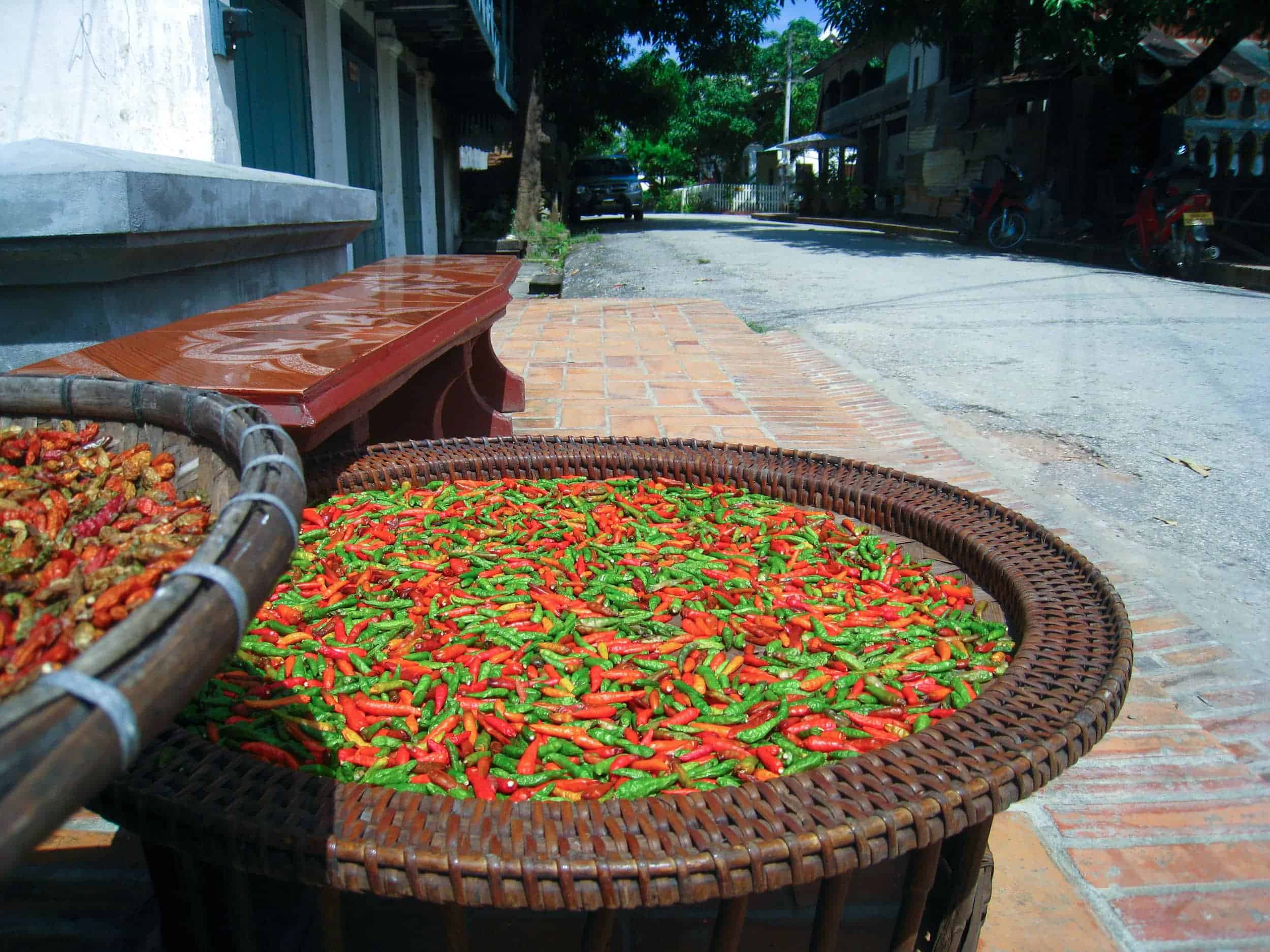 Peppers drying in Luang Prabang