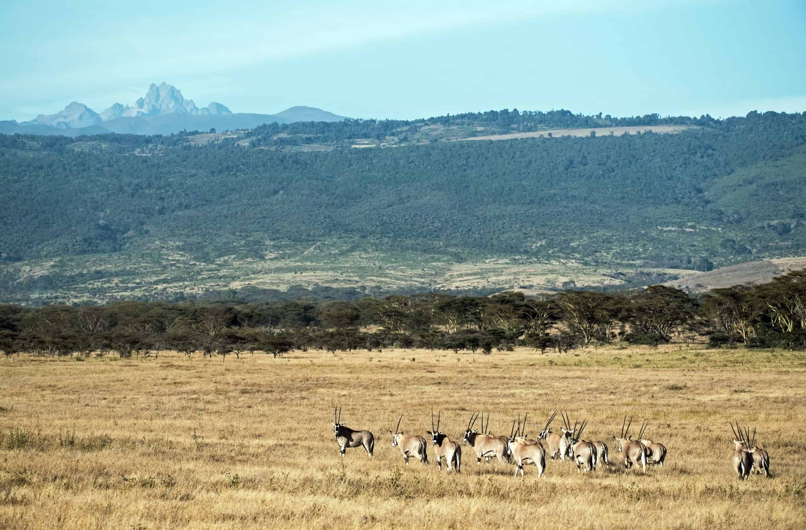 10 Best Things To Do in Kenya - Go Backpacking