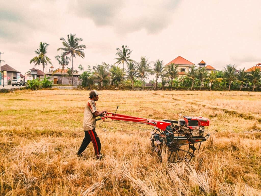 Editing photos like this one from Bali is one way to improve your travel photography