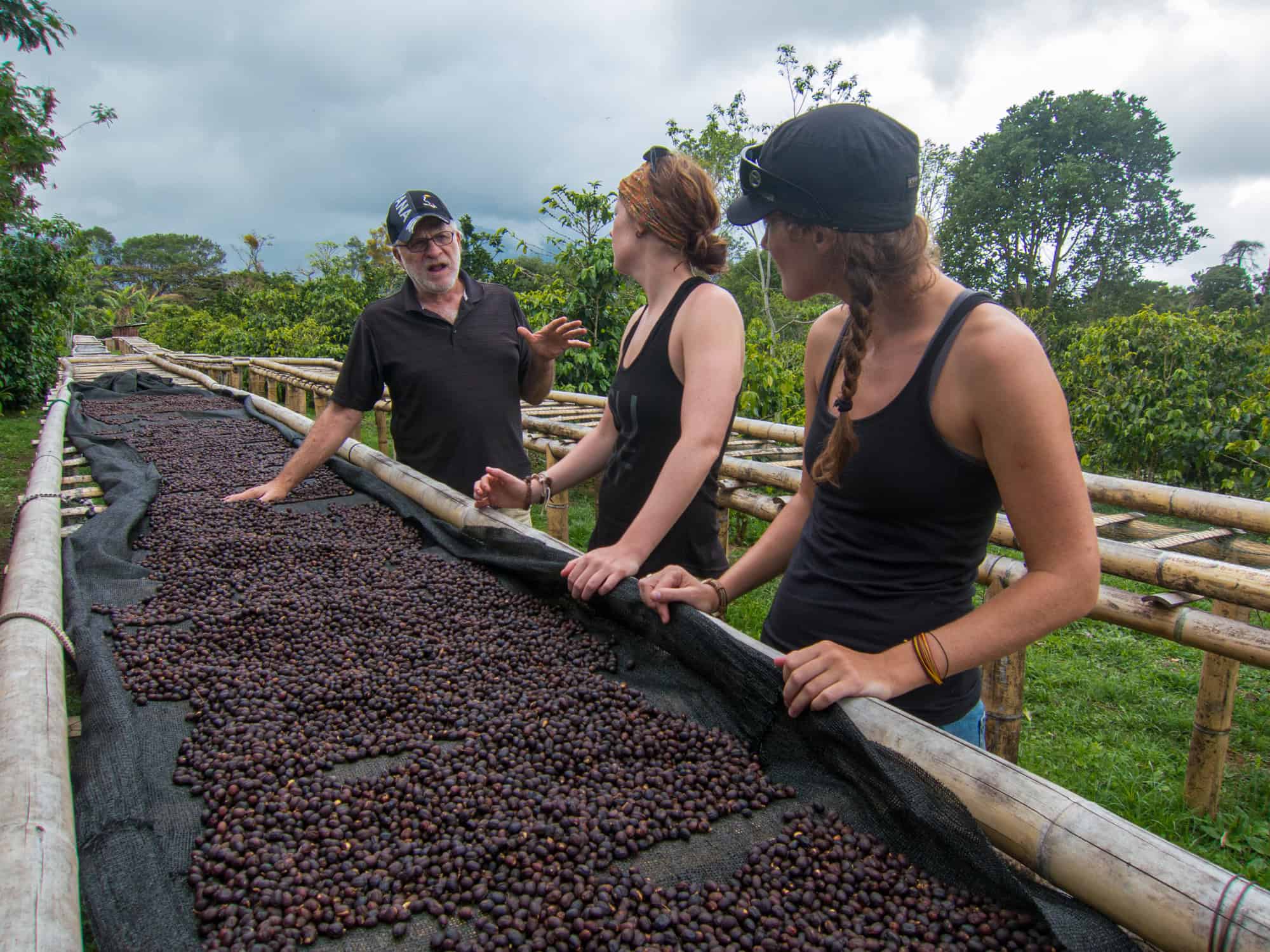 Coffee tour at Finca Dos Jefes