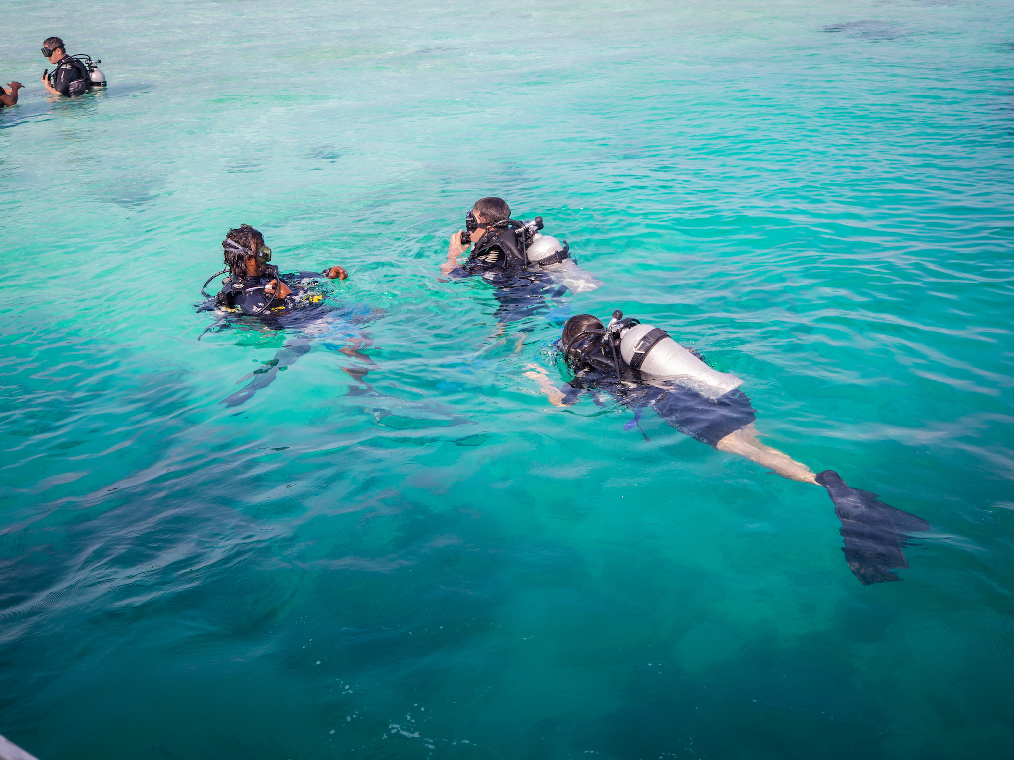 Diving in the Maldives