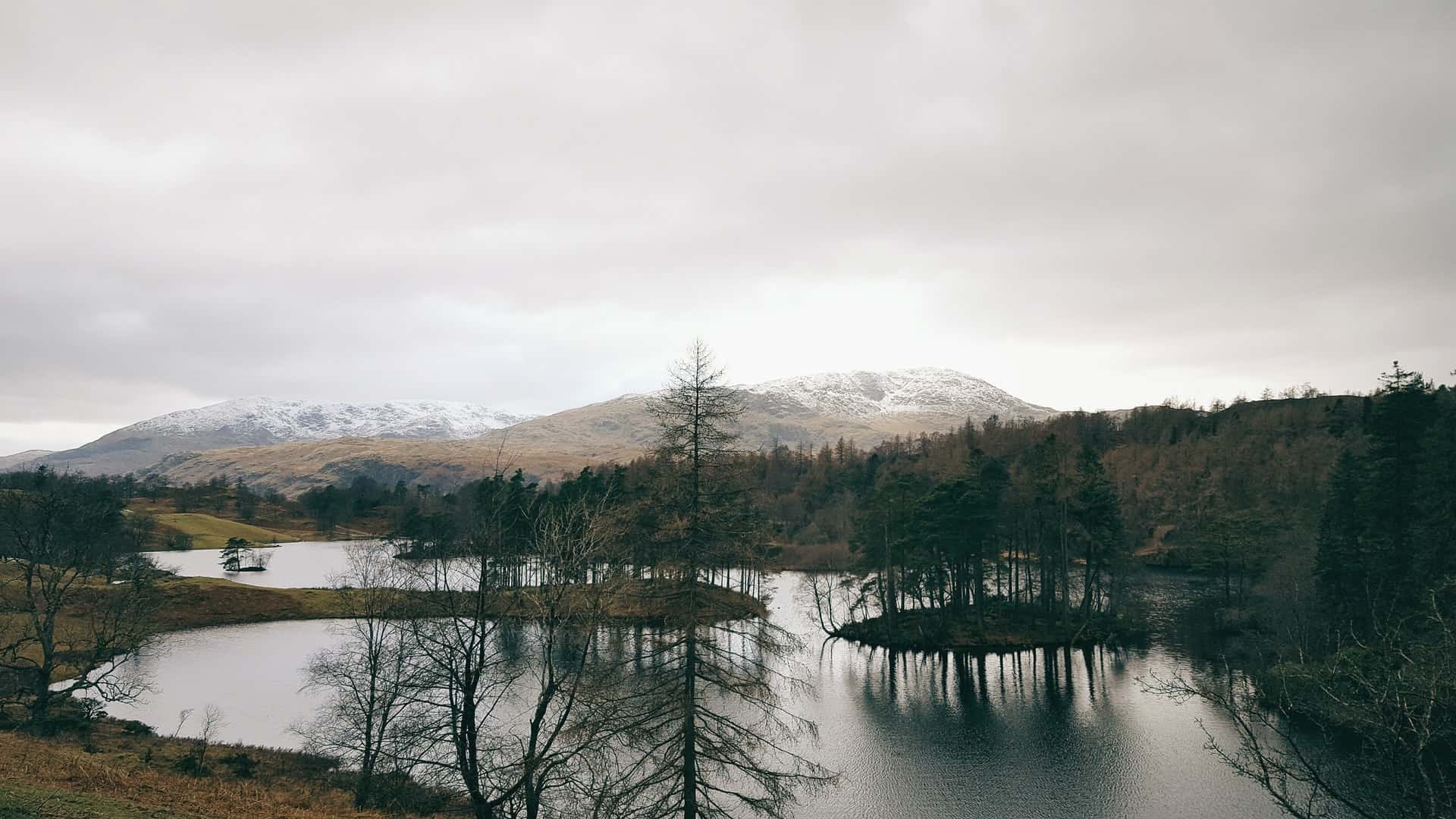 Tarn Hows is an easy-going walk  (photo: David Perkins)