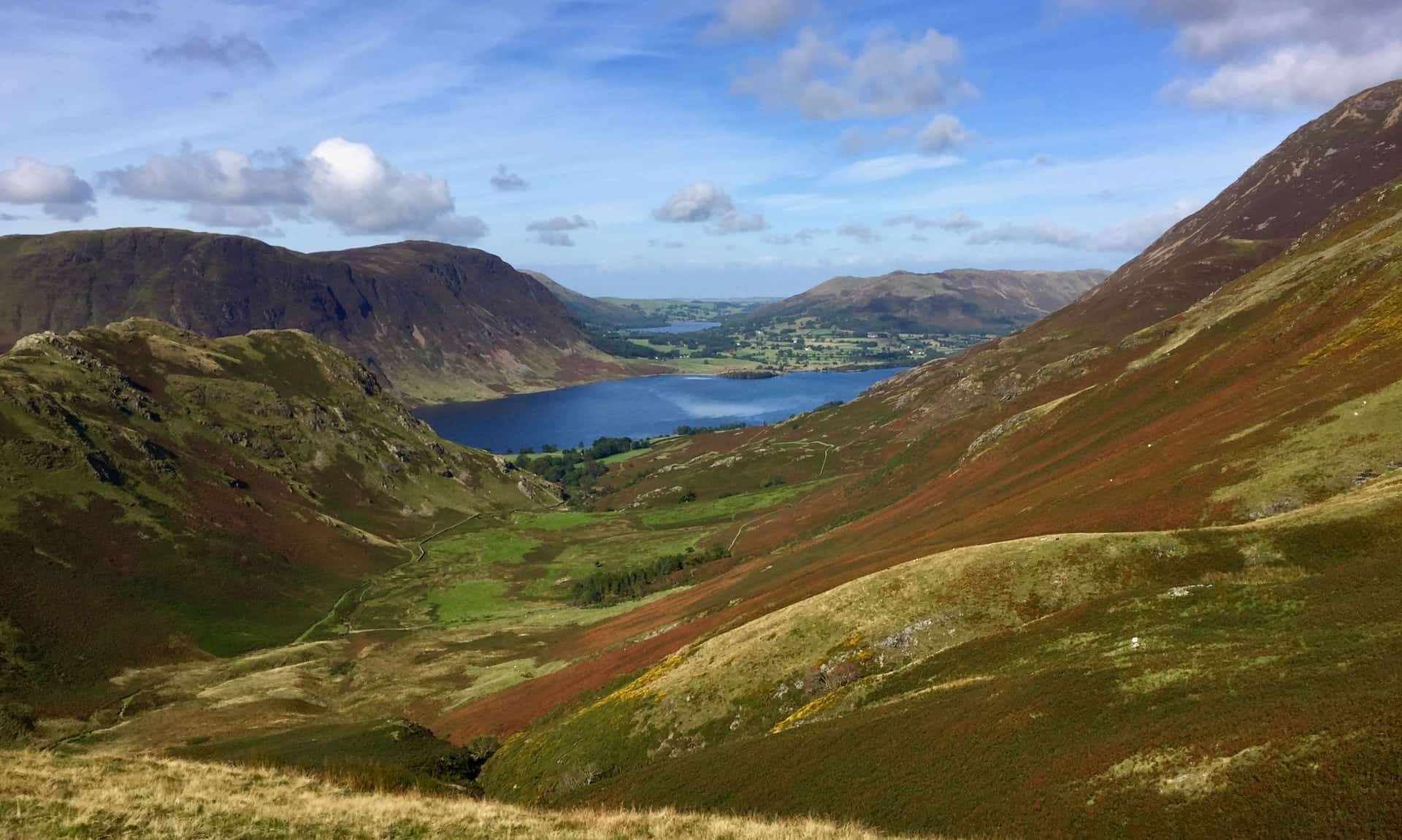 Whiteless Pike (photo: Tobias Keller, Unsplash)