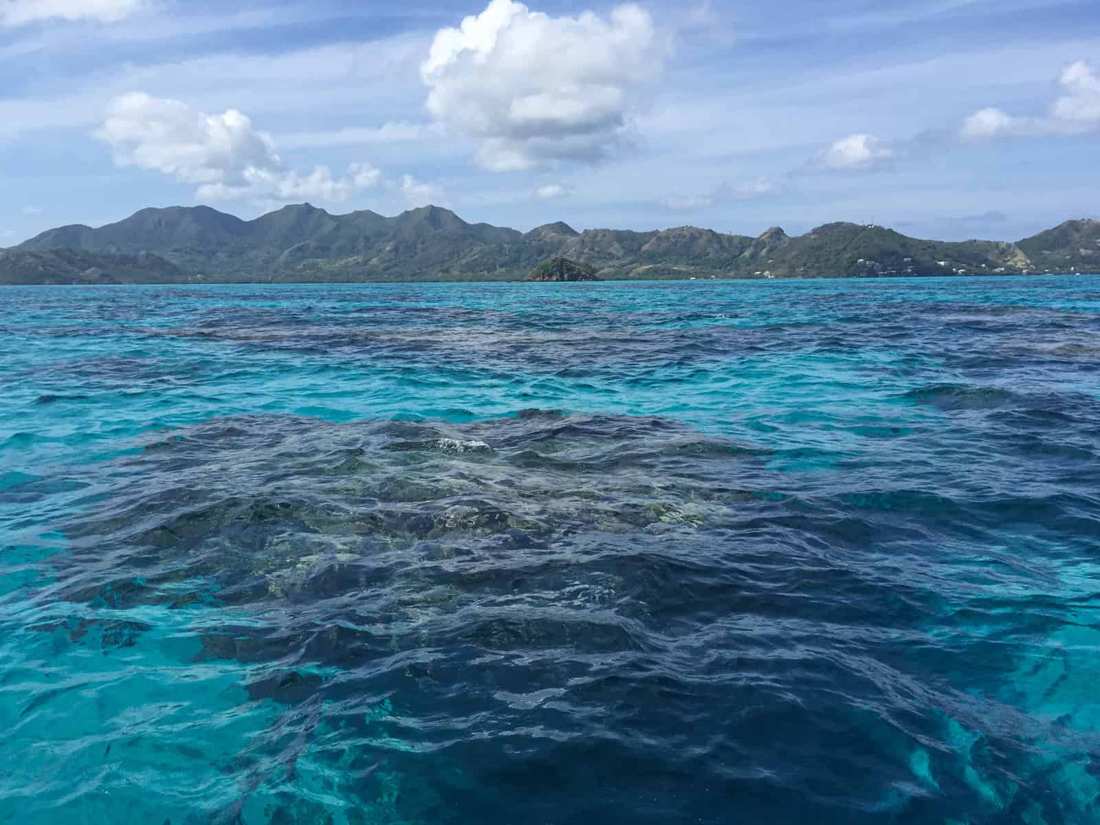 Coral reef near Crab Caye