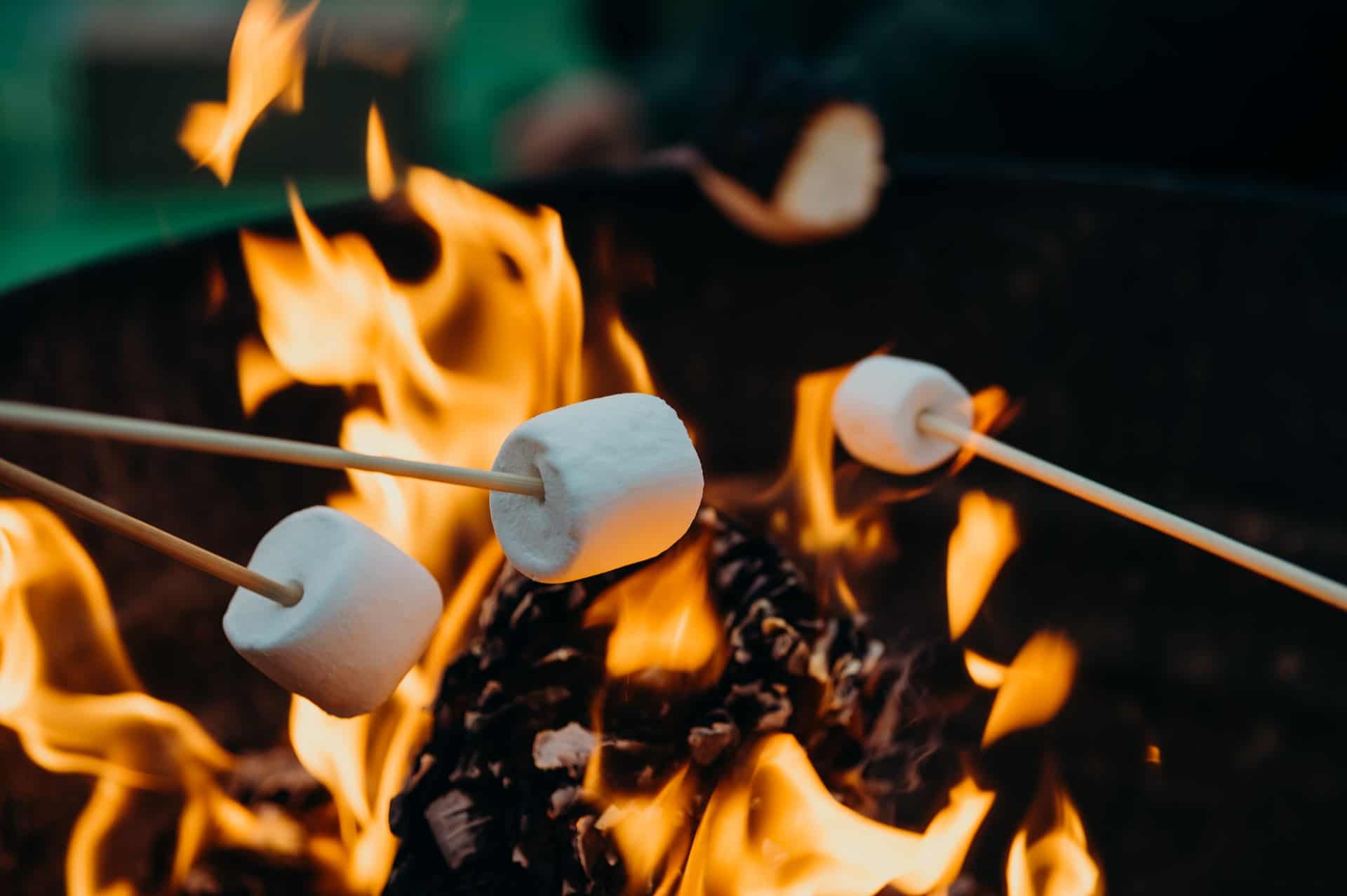 Roasting marshmallows (photo: Leon Contreras)