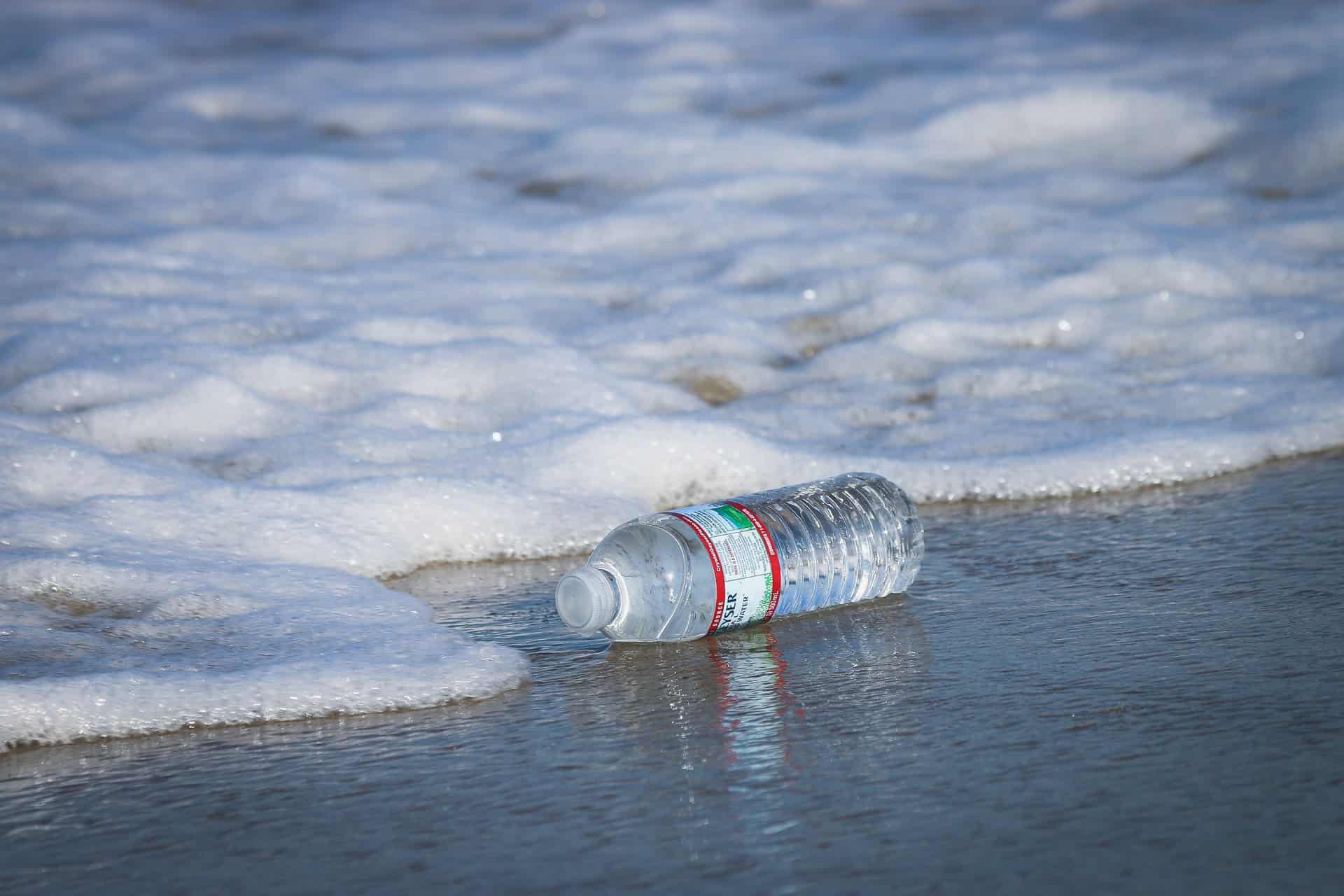 Plastic bottle (photo: Brian Yurasits)