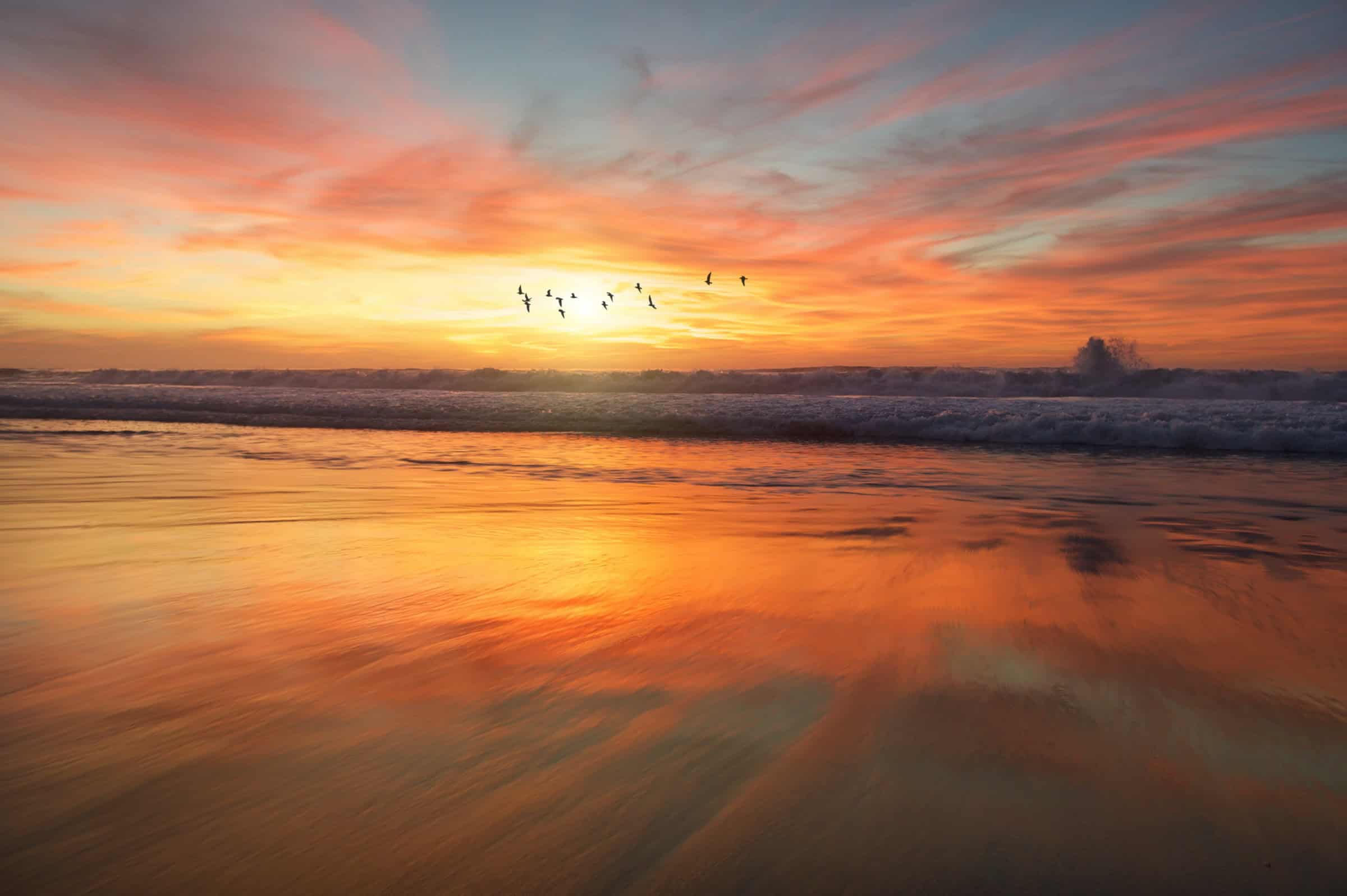 San Diego sunrise (photo: Frank Mckenna)