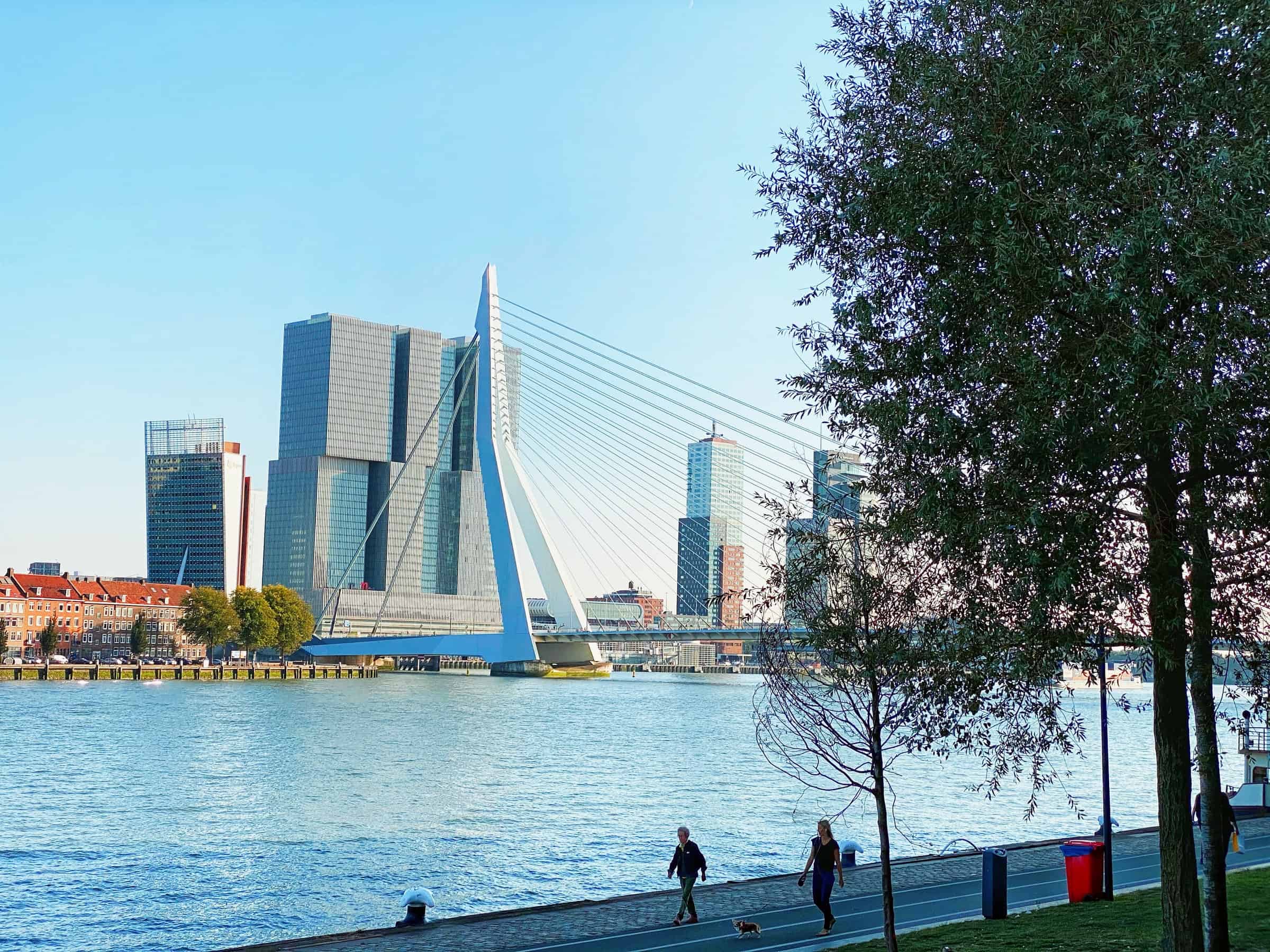 Erasmus Bridge (photo: Flori & Almi Weit.Gereist)