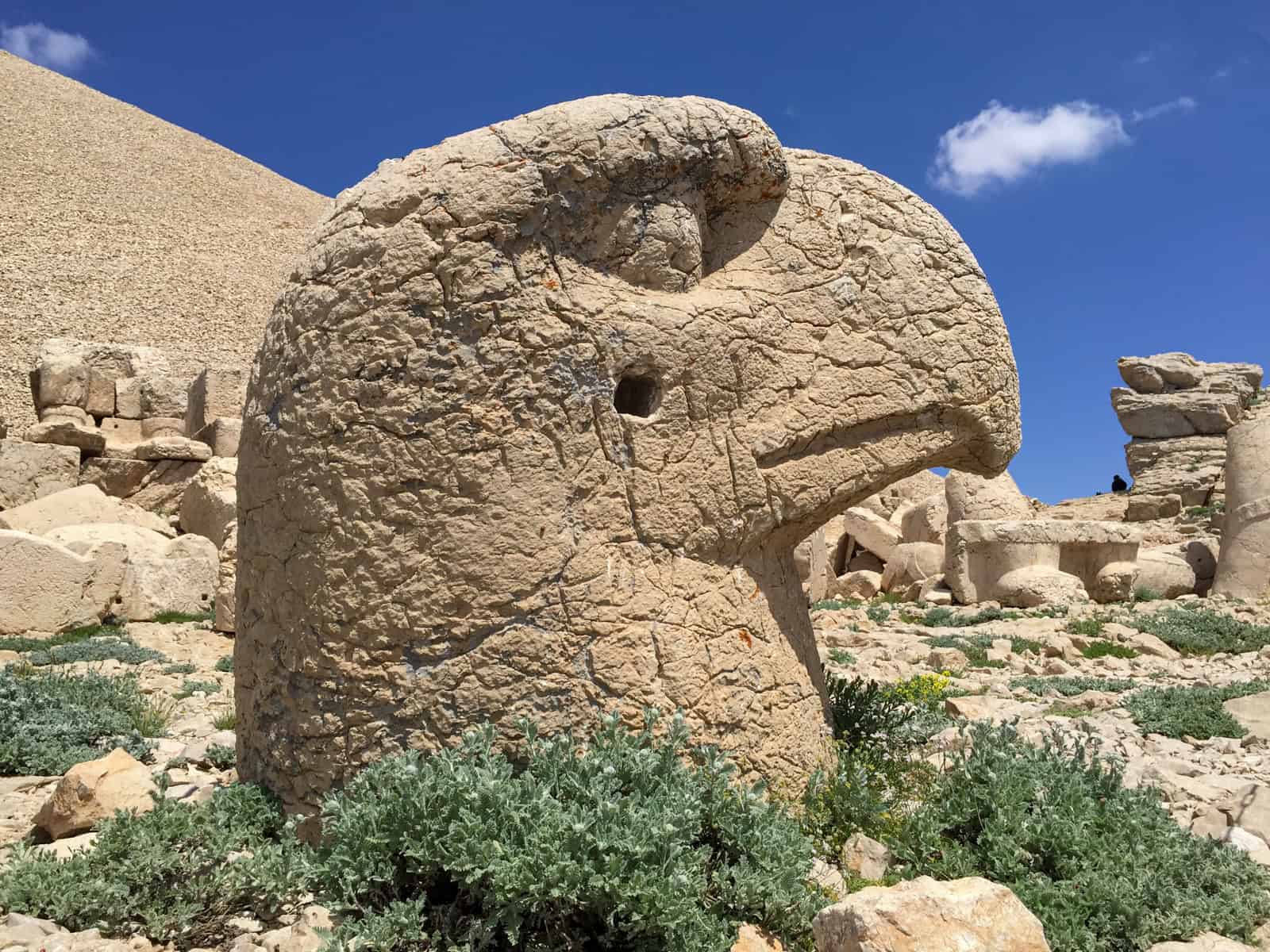 Head of Persian Eagle God