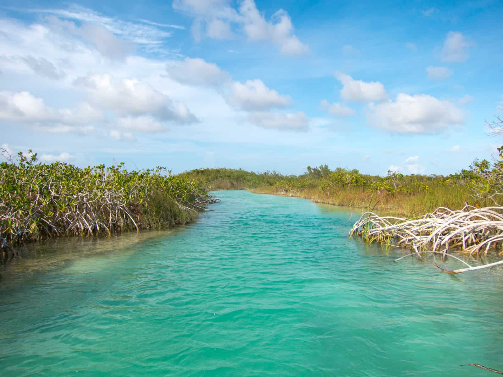 Sian Ka'an Biosphere Reserve