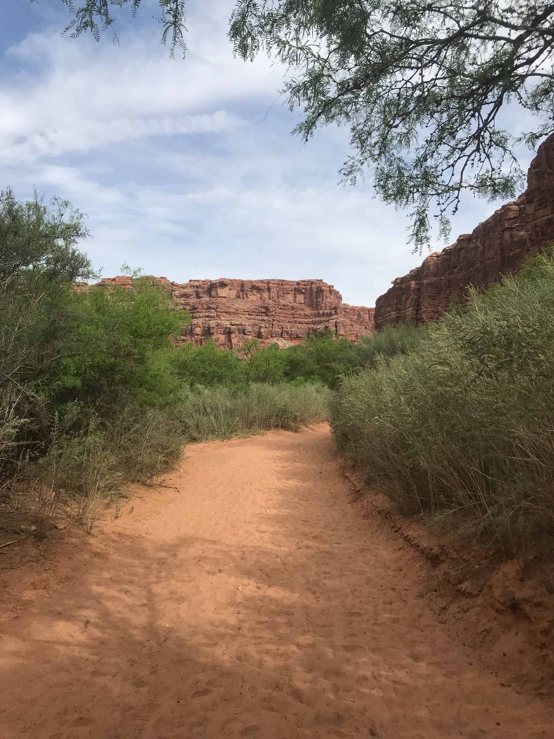 Havasupai Trail (photo: Loren Isaac)