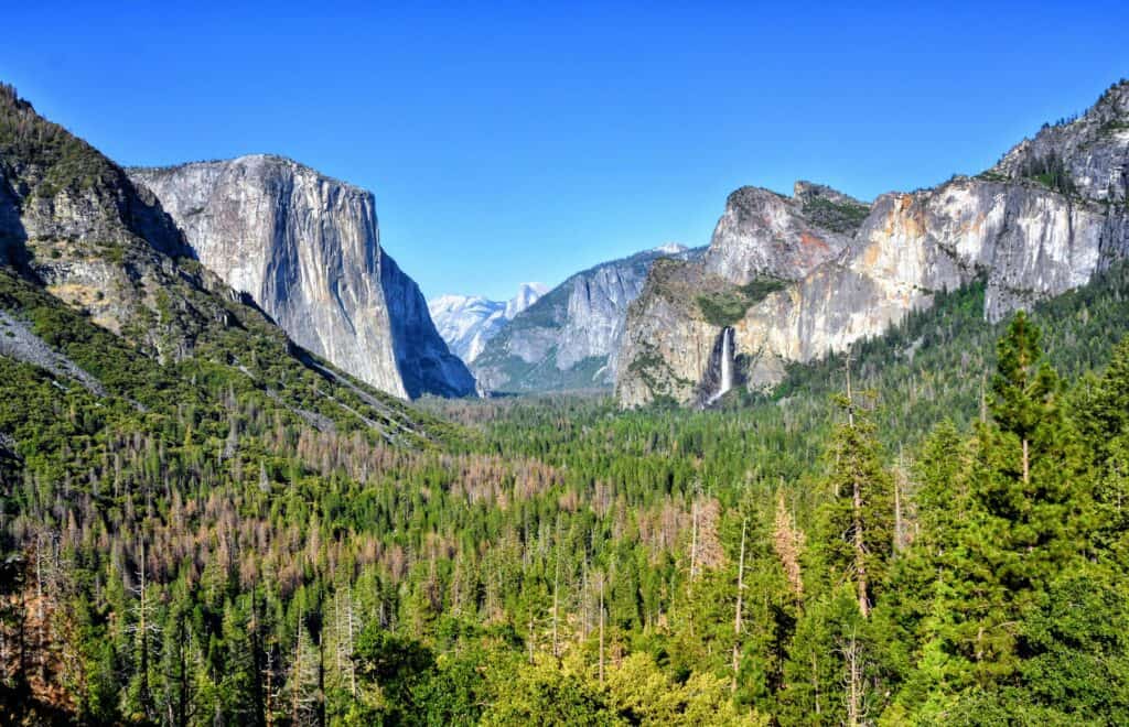 The 7 Best Things to Do in Yosemite National Park in the Spring