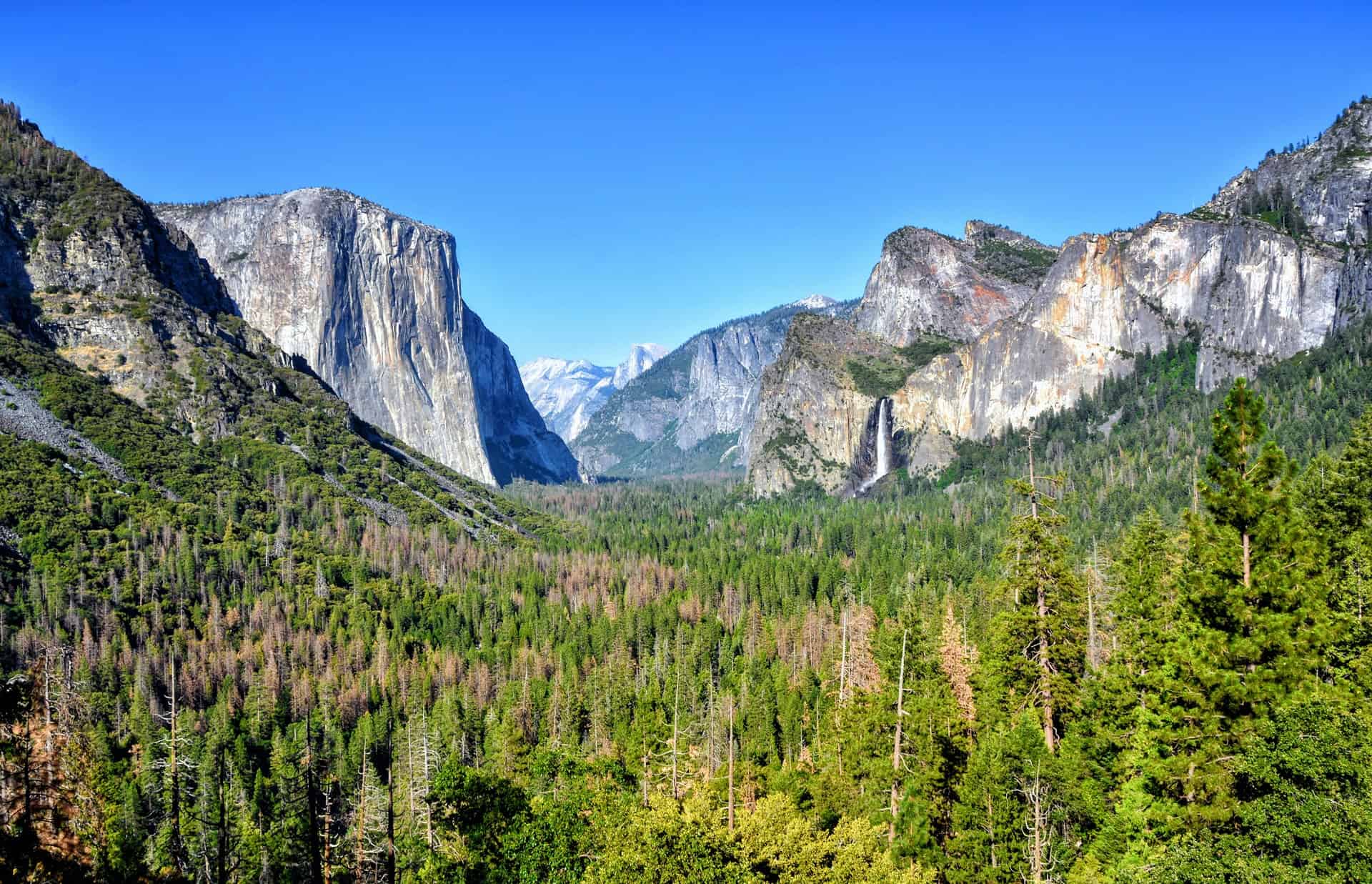 land tour to yosemite