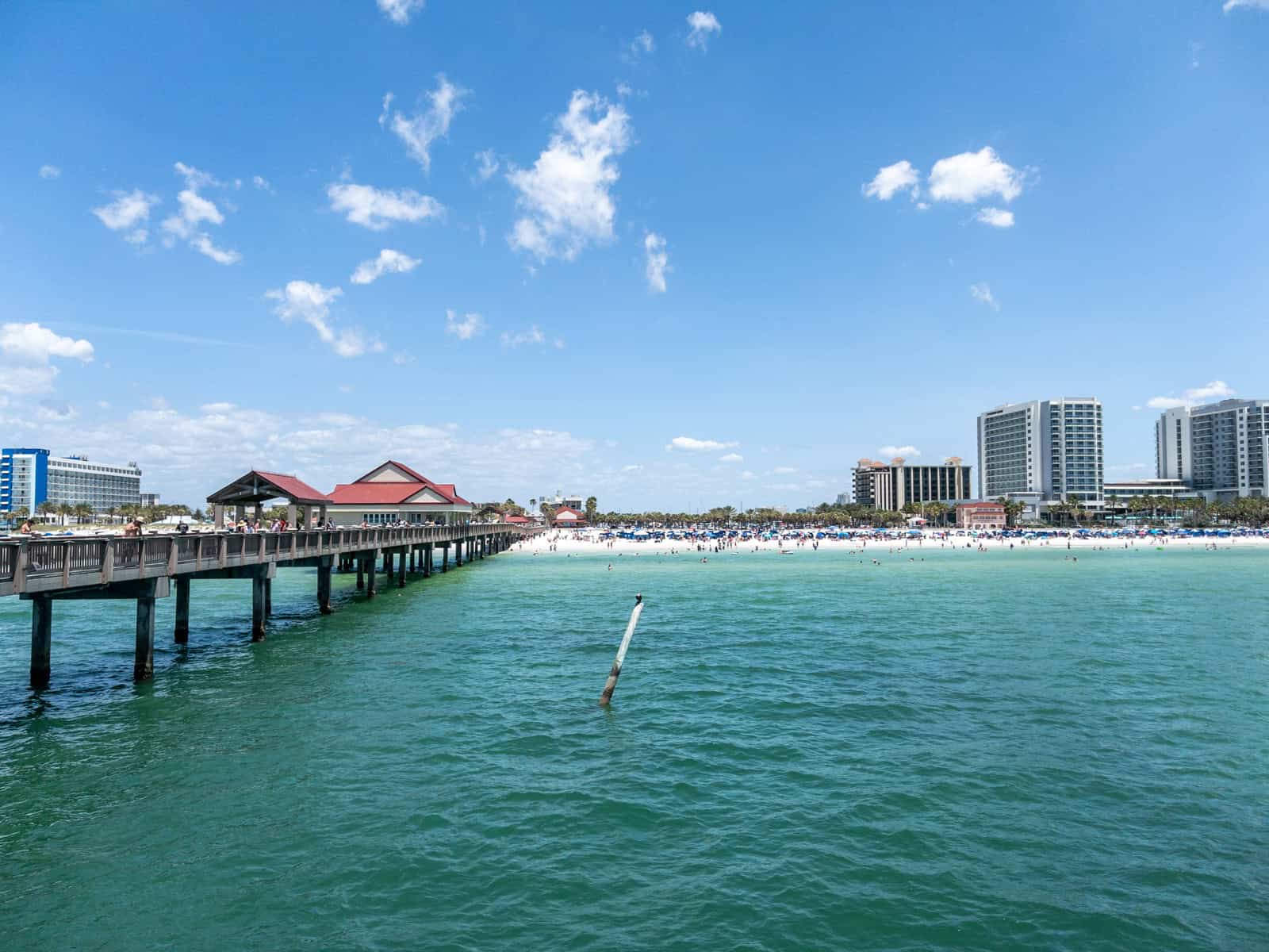 Pier 60 Clearwater Beach