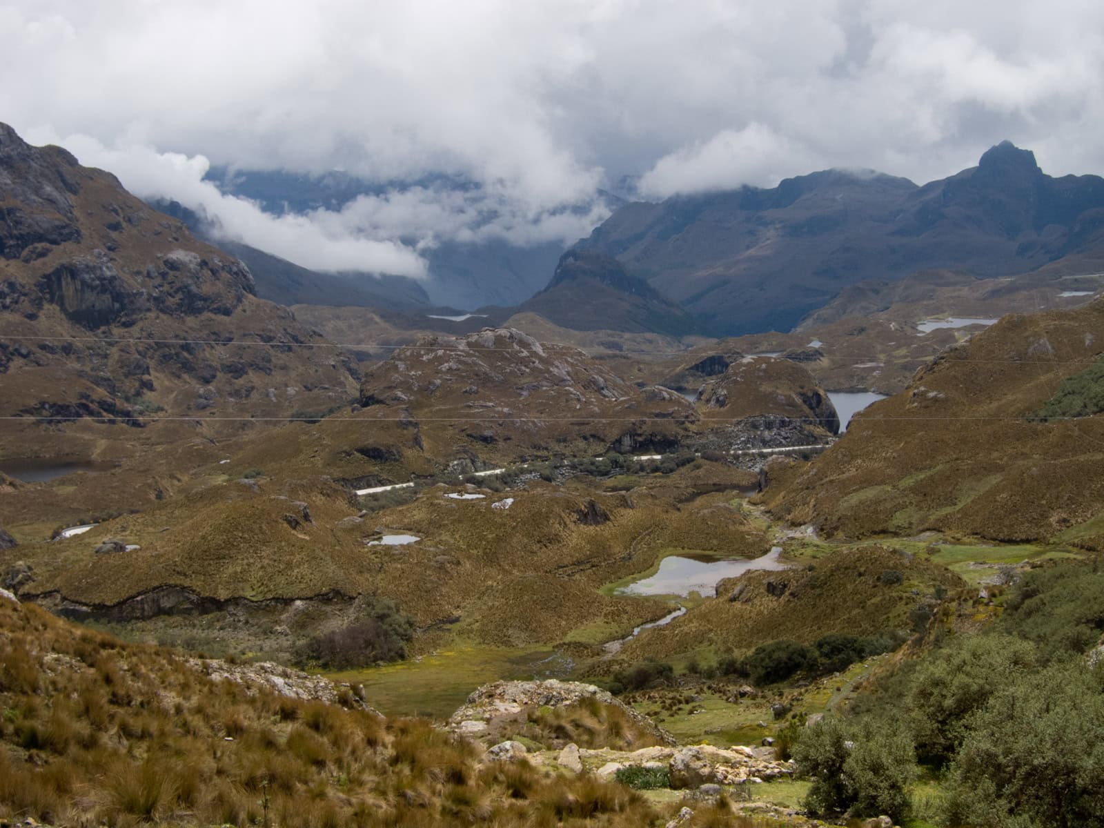 View of El Cajas National Park from 4,100 meters