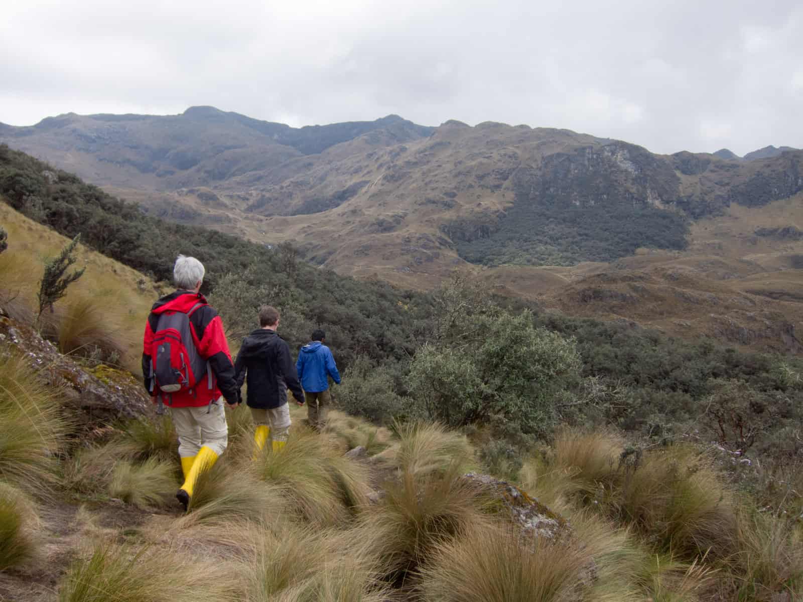 Walking toward a forest, something you rarely see at 4,000 meters