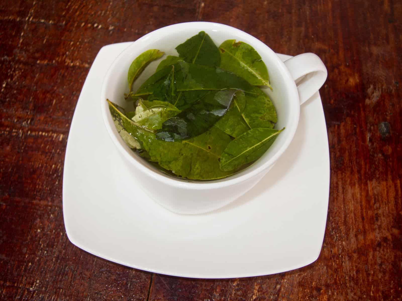 Coca tea is a typical Ecuadorian drink in the mountains. 