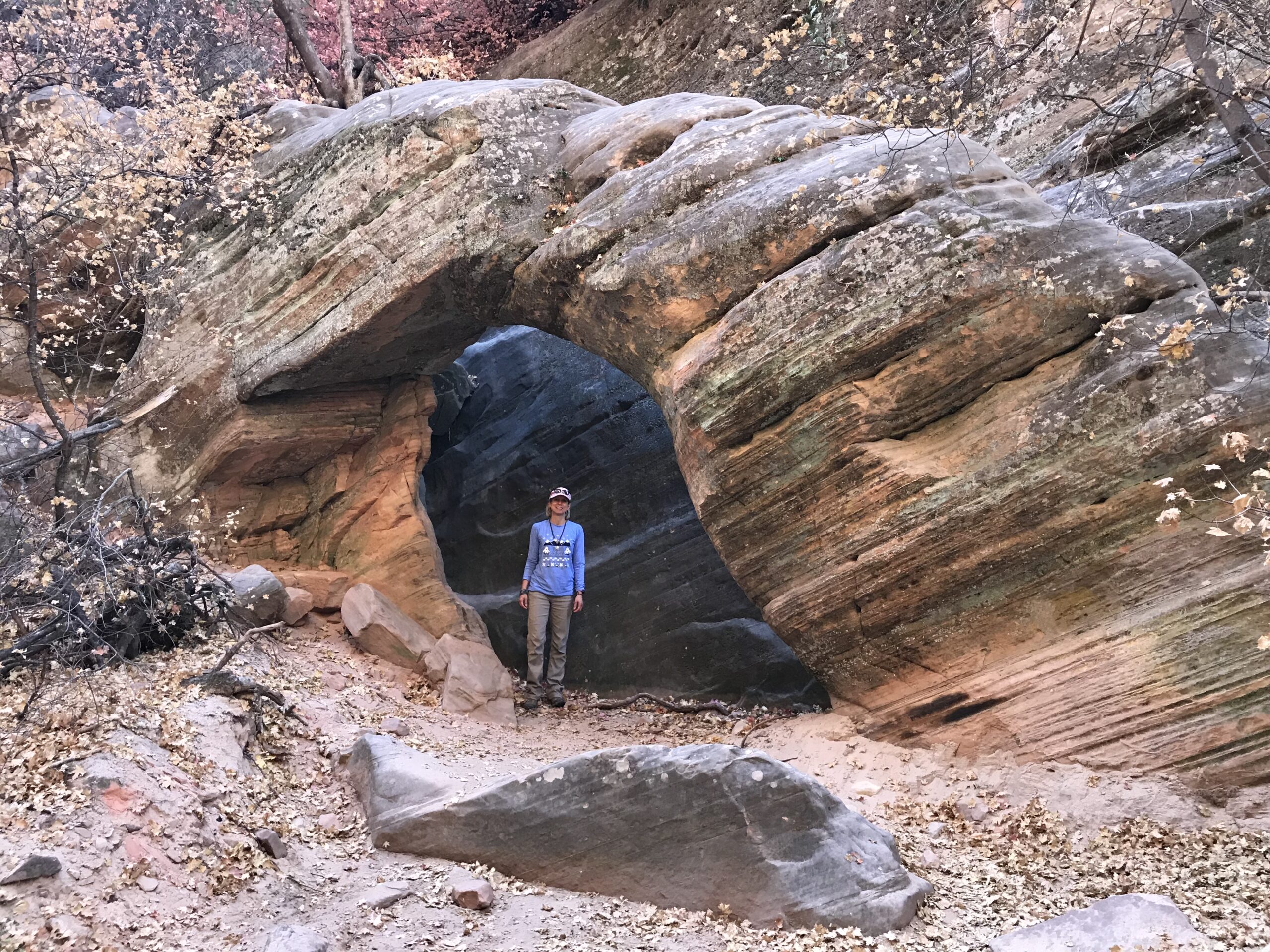 Find the Hidden Arch while hiking in Zion National Park.