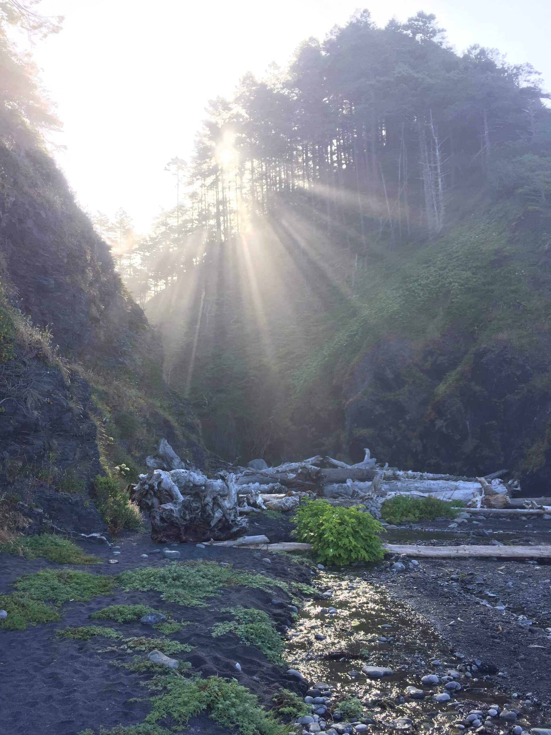 Sunrise on Day 4 backpacking the Lost Coast Trail