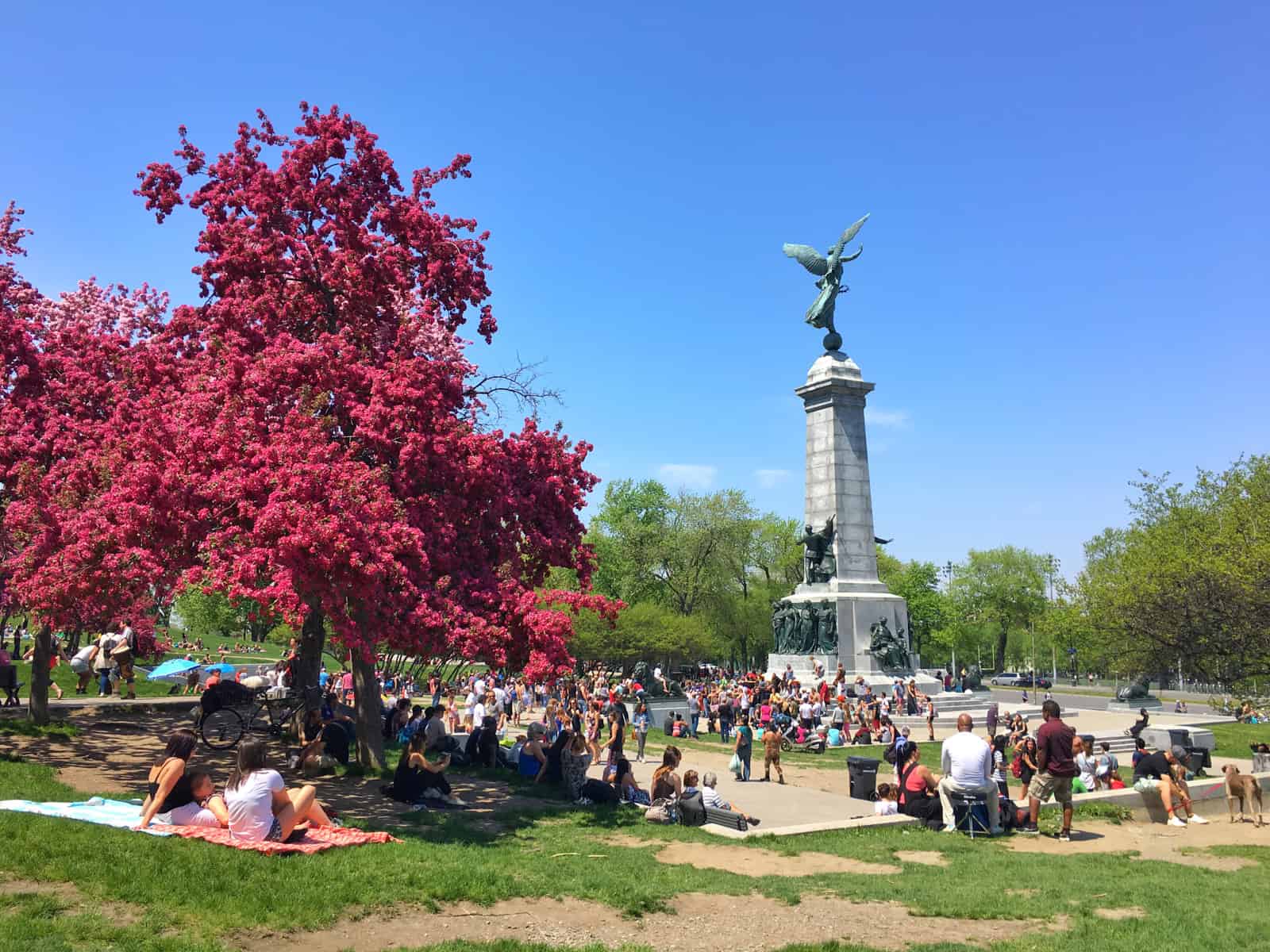 Tam Tams drum circle in Montreal, Canada