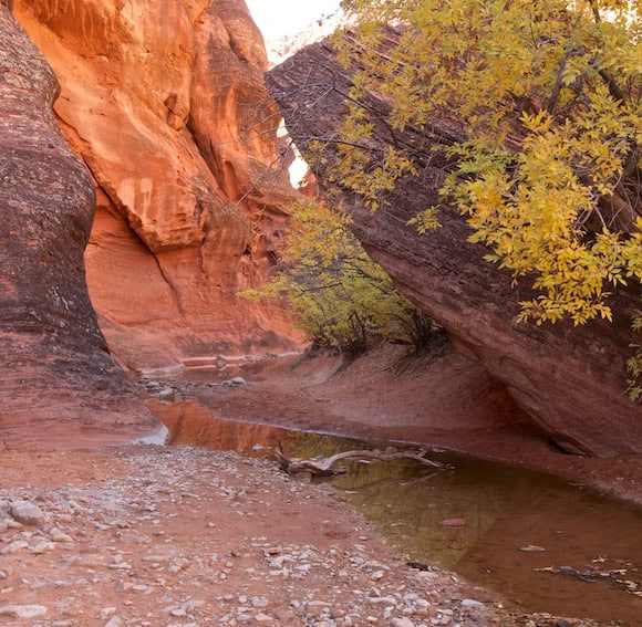 Mysterious Red Reef Trail