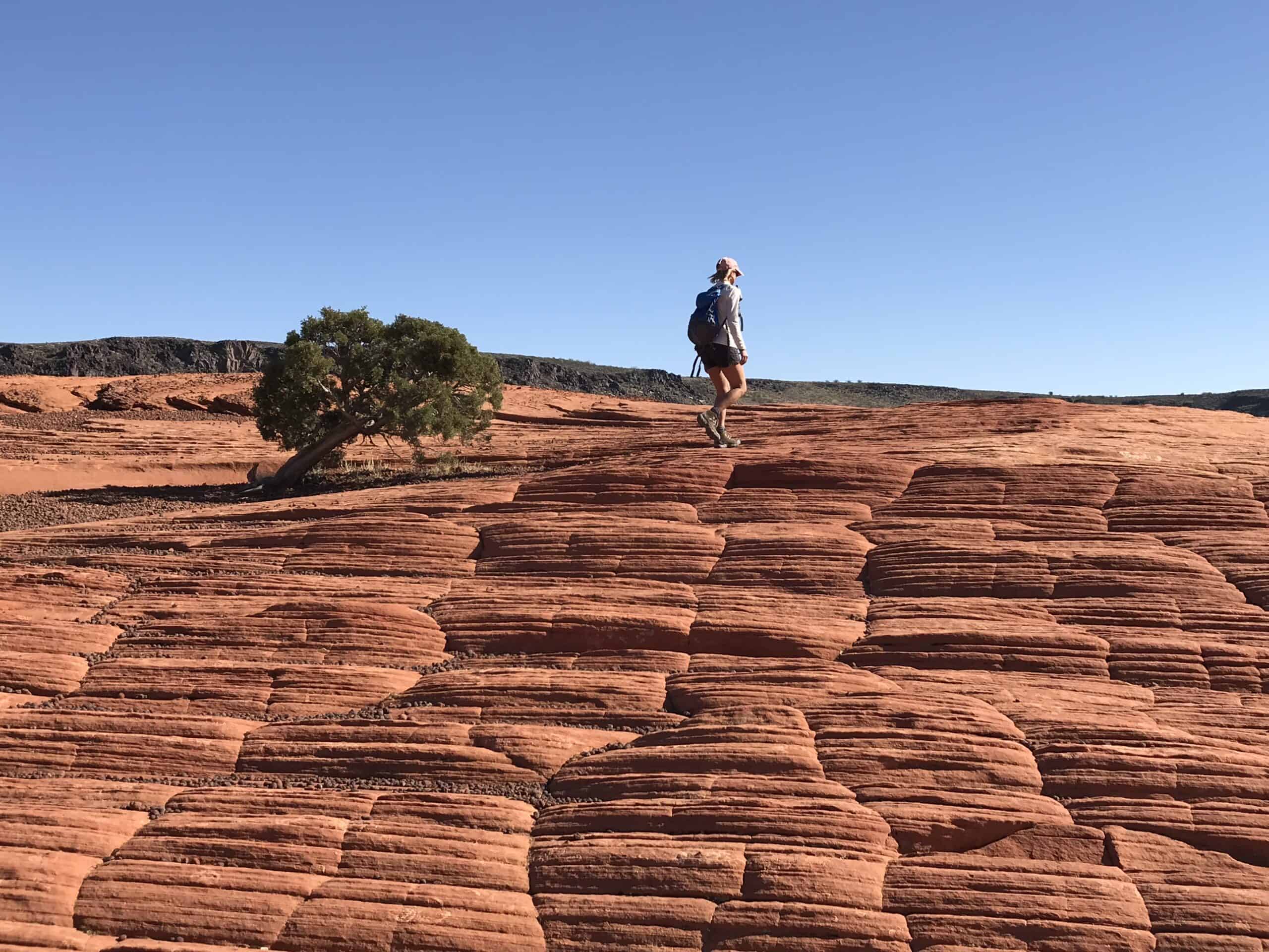 Snow Canyon State Park is a terrific stop on any road trip to Zion National Park in Utah.