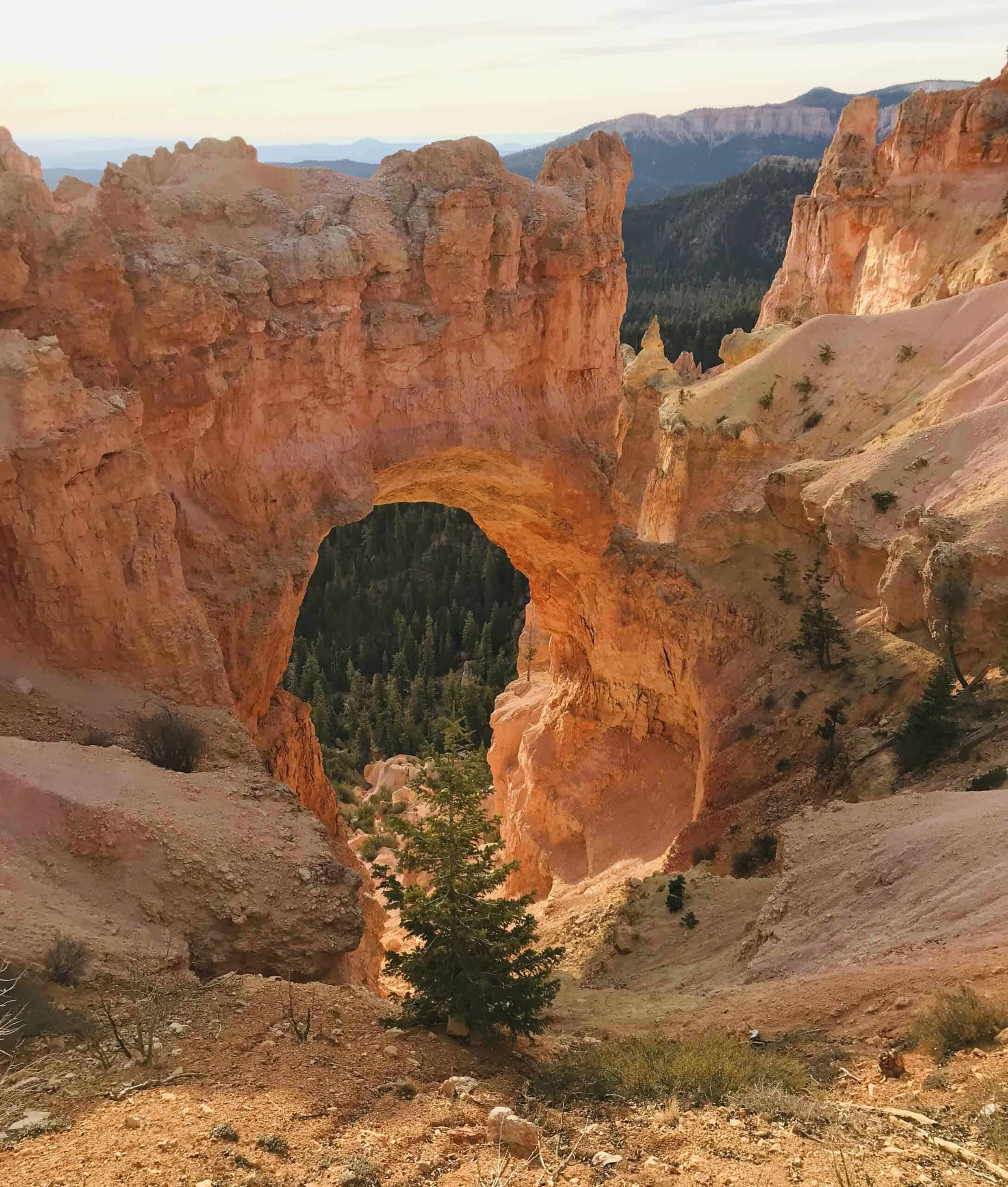 Natural Bridge