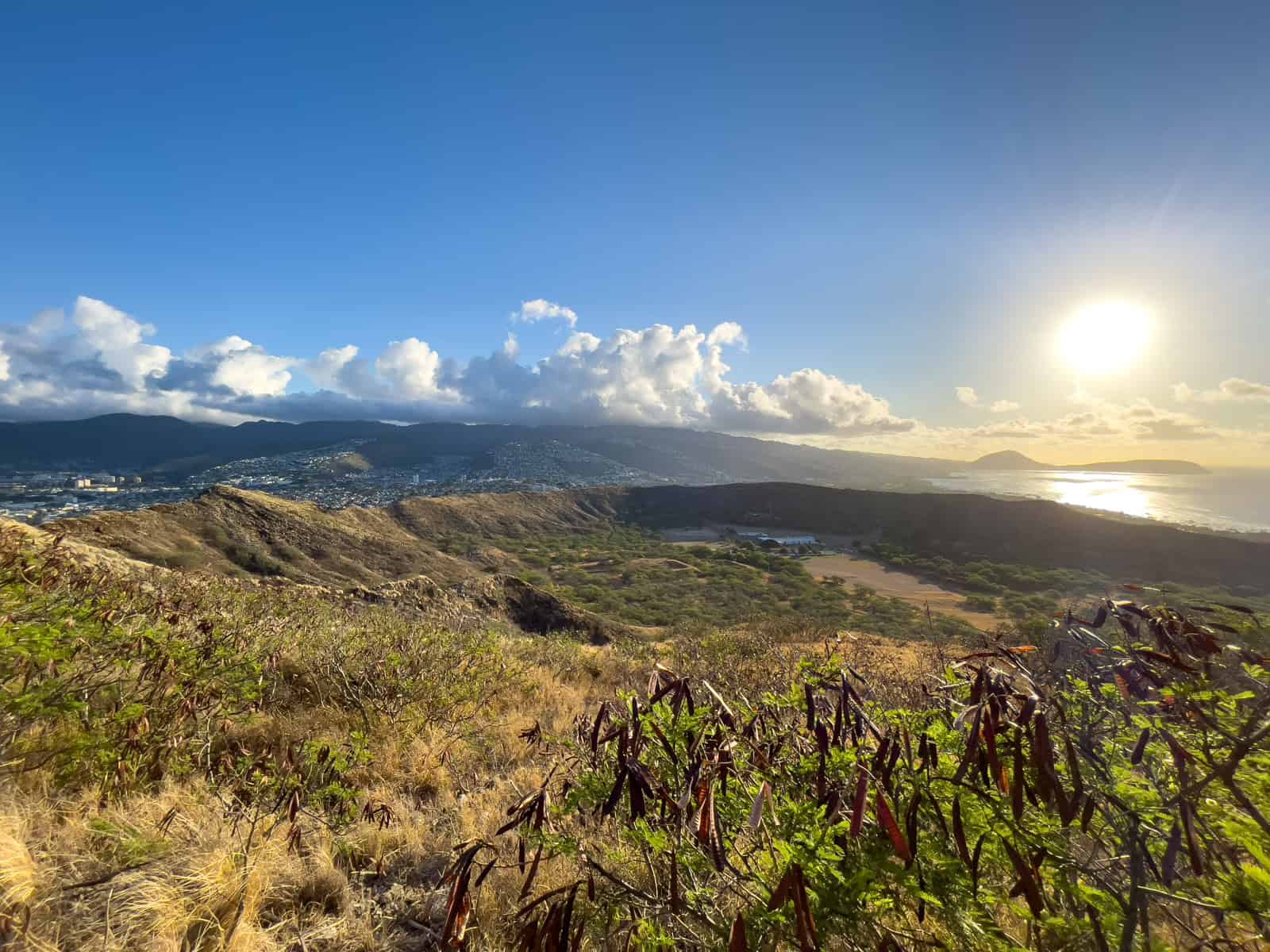 Looking inside Diamond Head crater from the summit