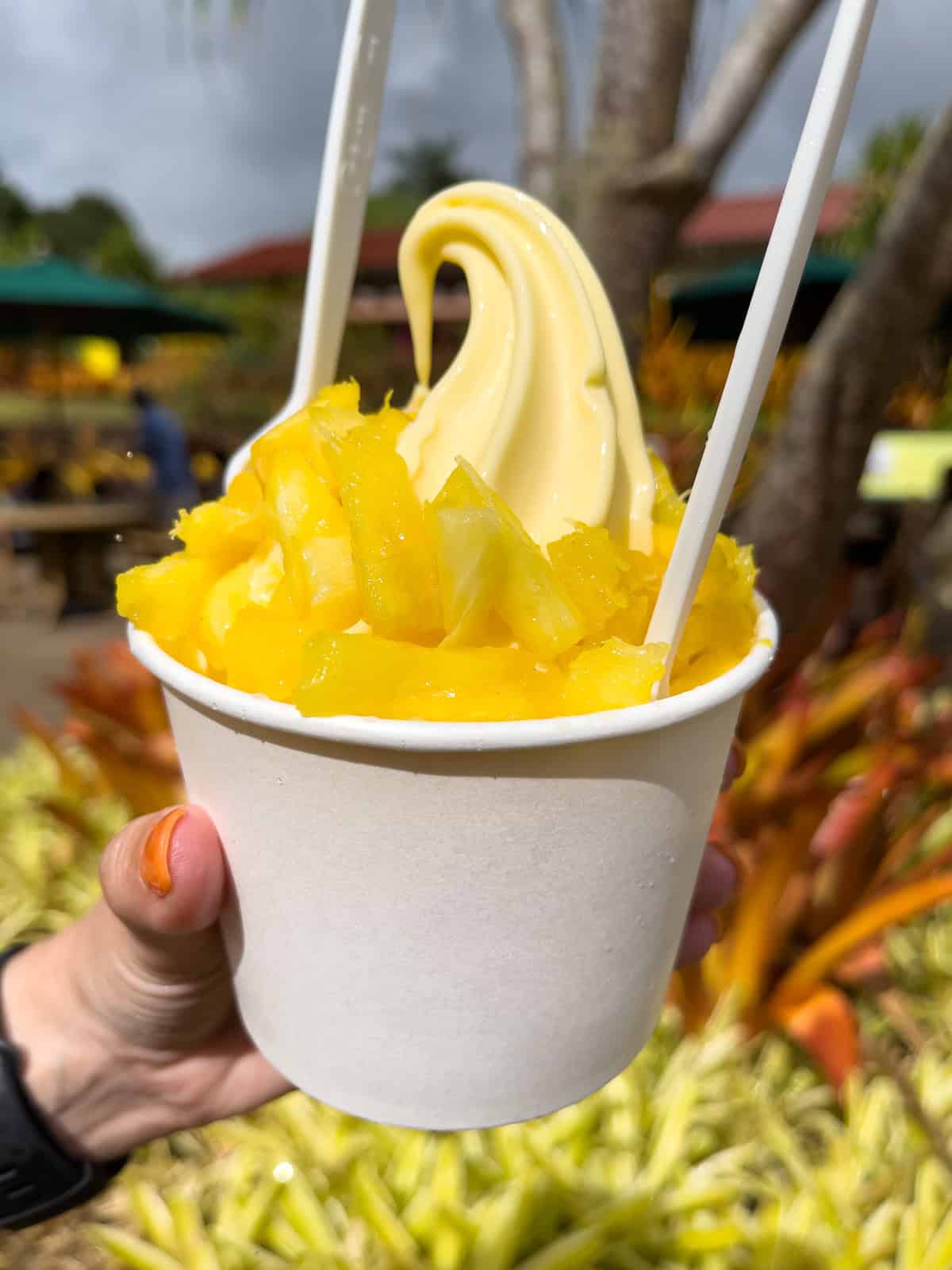 Stopping for a Dole pineapple whip dessert is a must on any Oahu scenic drive