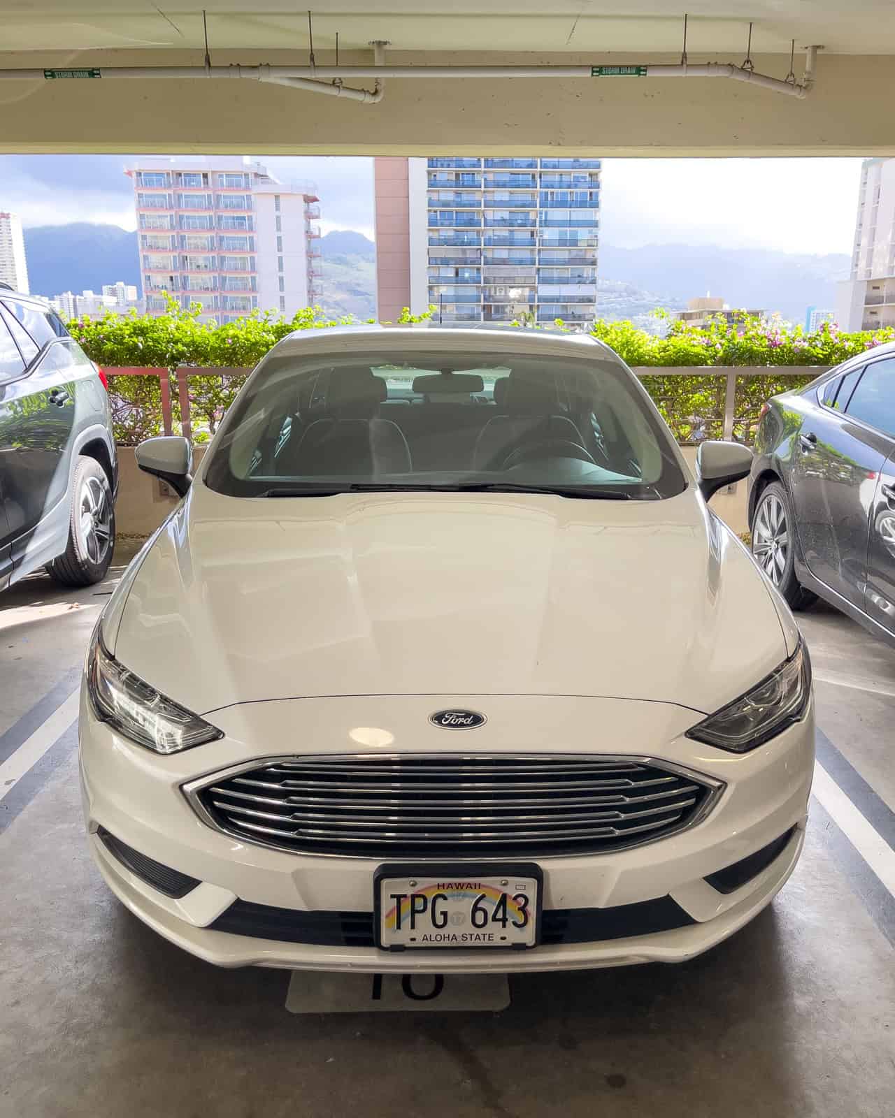 Ford Fusion rental car