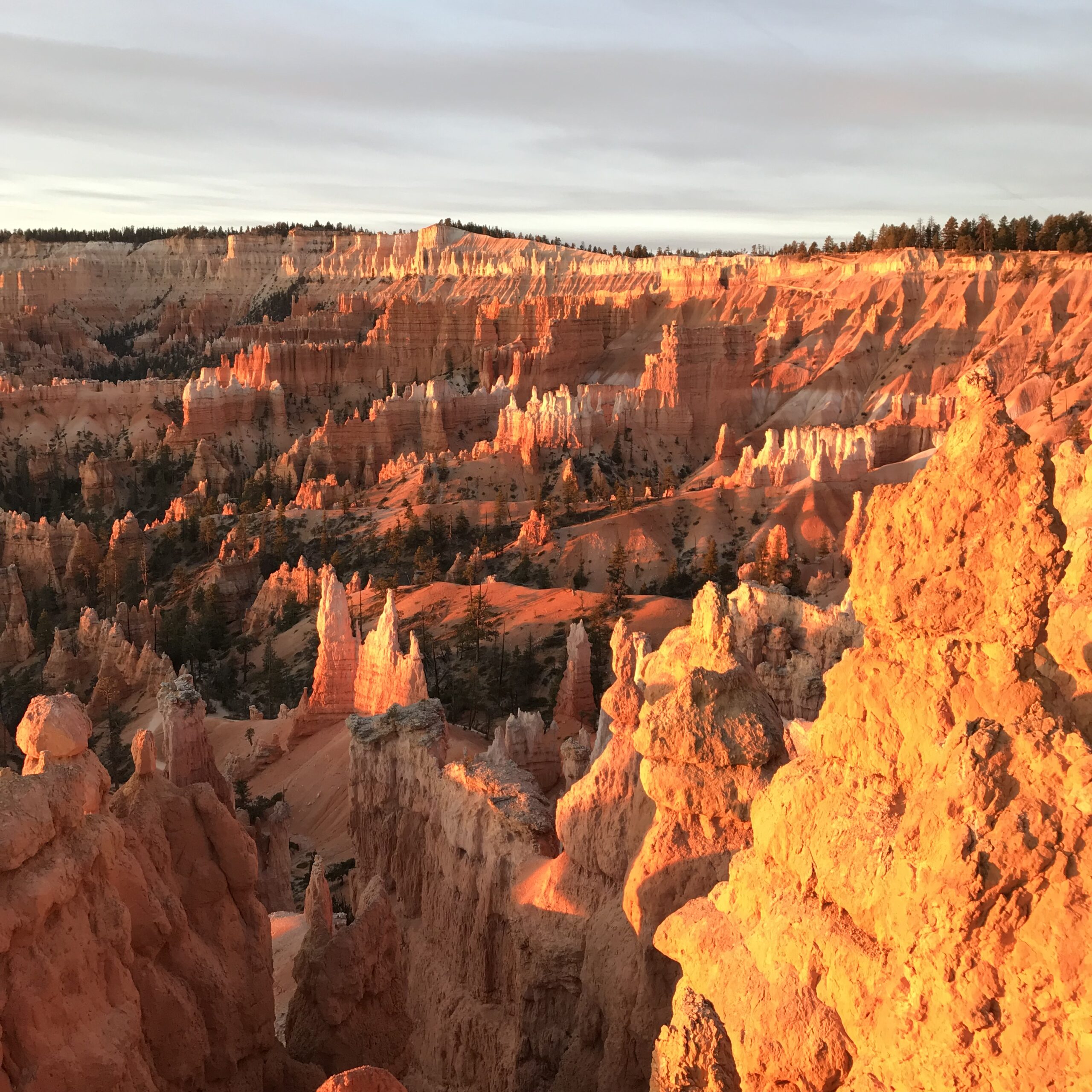 Morning light in Bryce Canyon