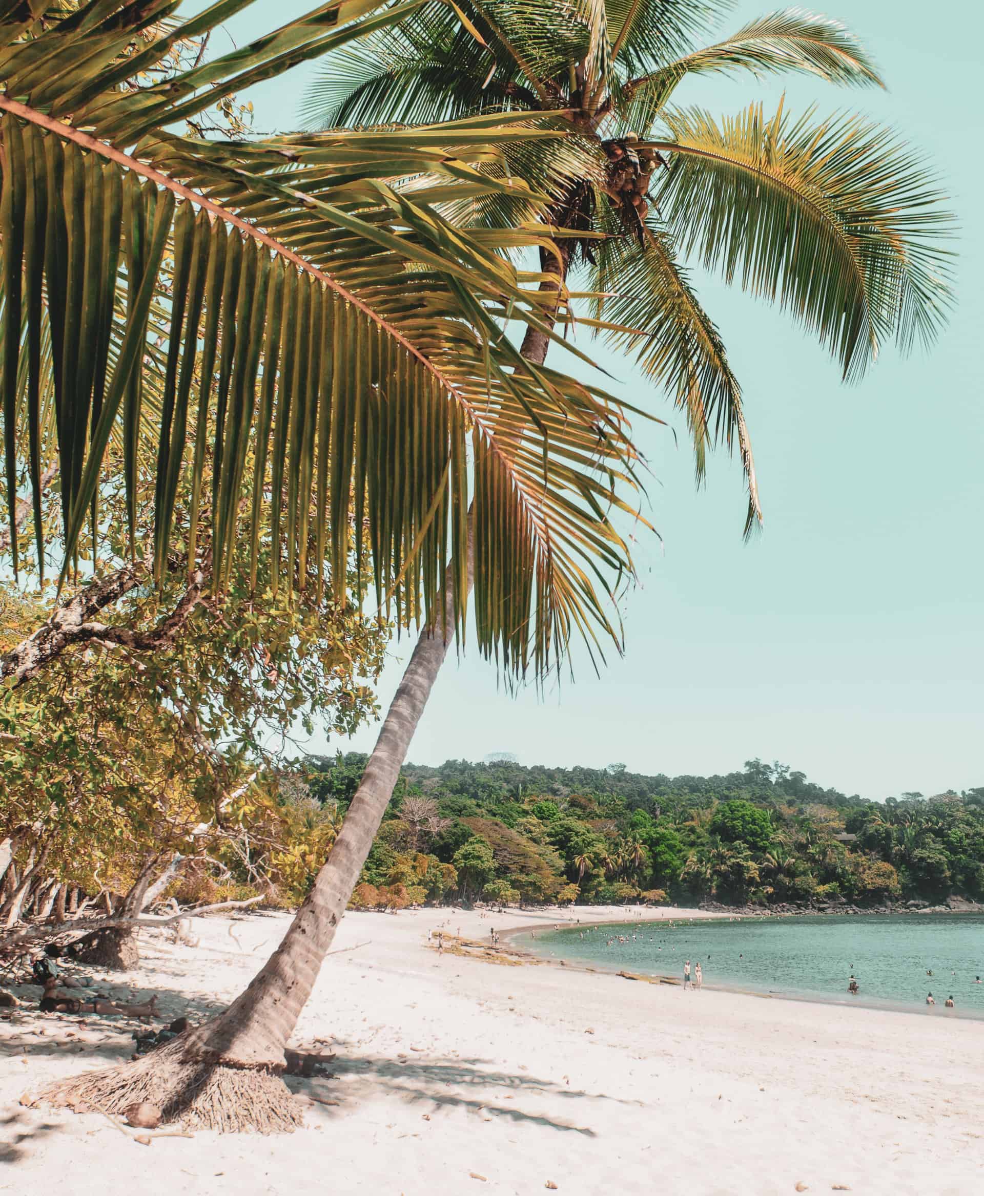 Beach in Manuel Antonio, Costa Rica (photo: Courtney Hall)