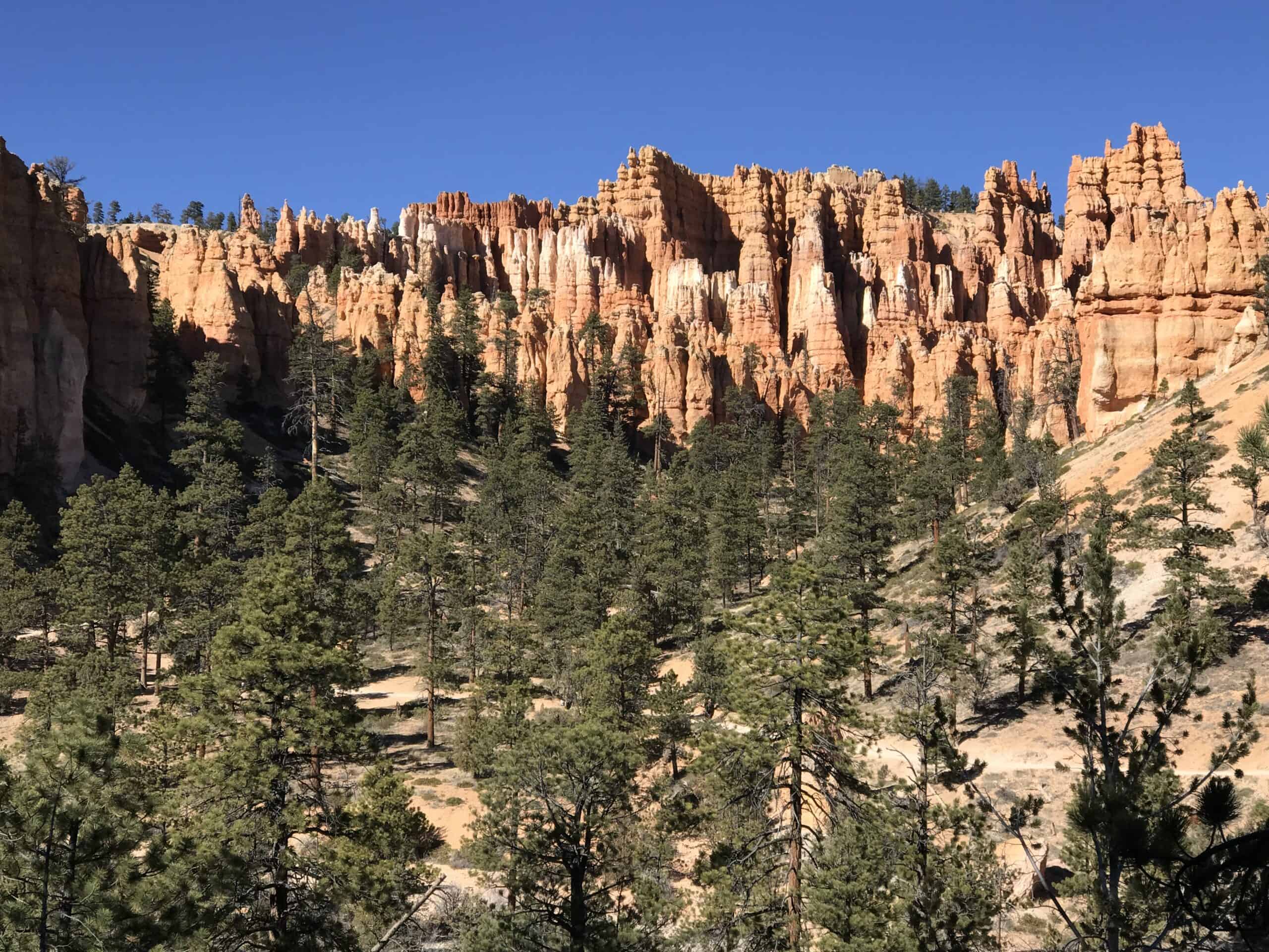 Hoodoos at Bryce Canyon National Park, Utah