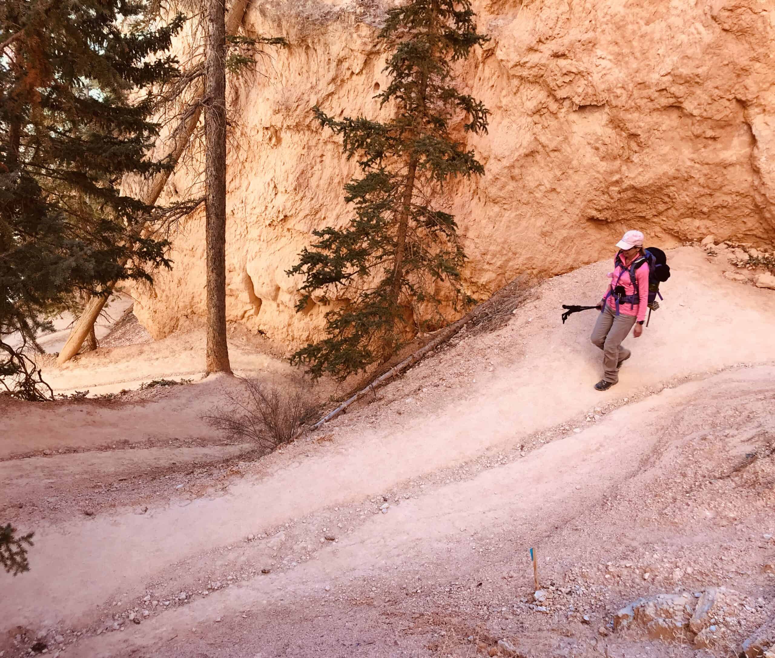 Navajo Loop Trail