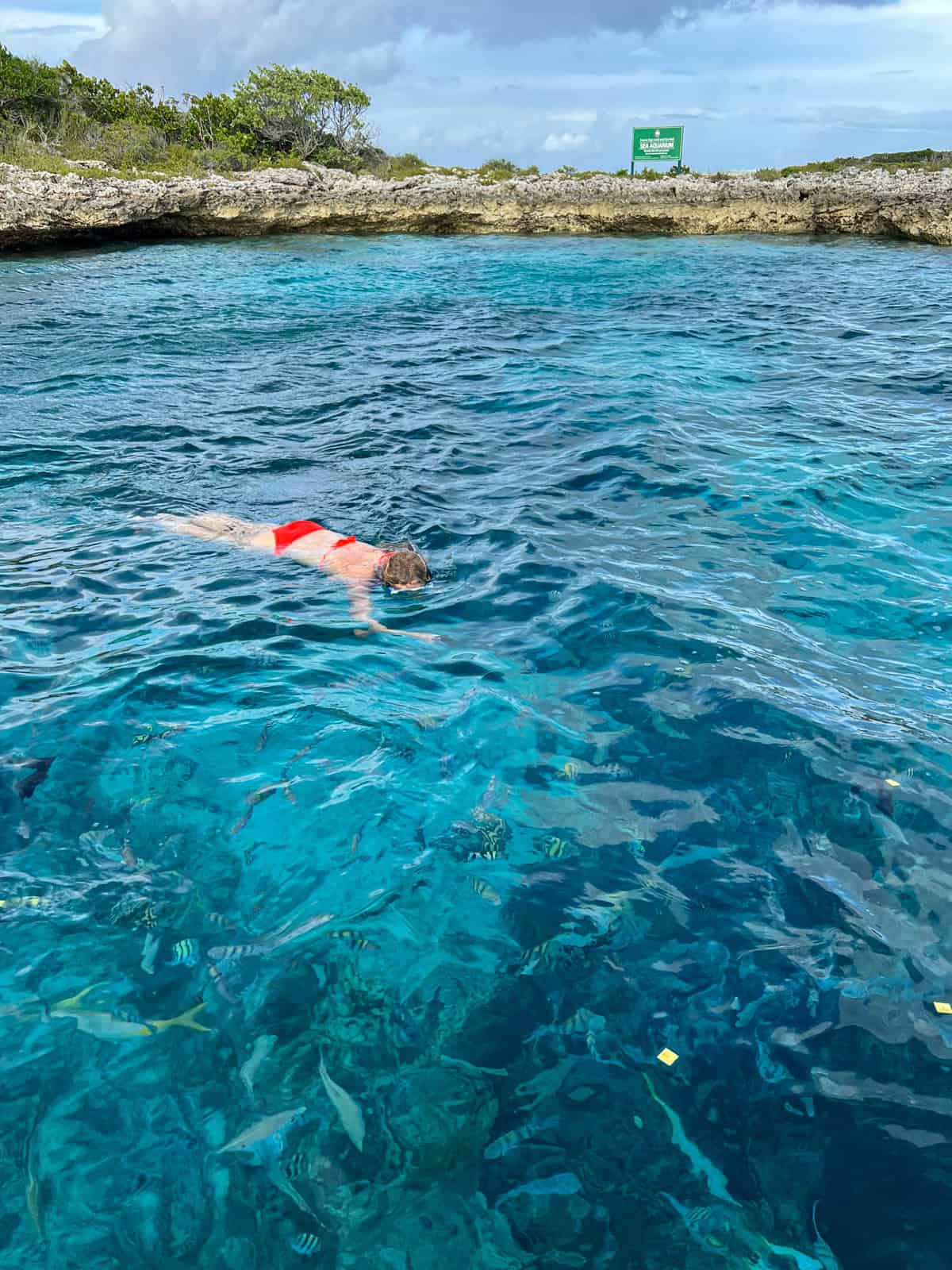 Dani snorkeling at the Sea Aquarium in Exumas, The Bahamas