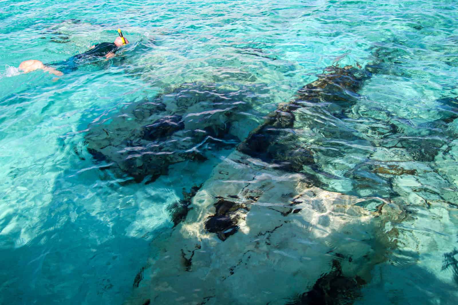 Dave snorkeling around a sunken plane off Staniel Cay in The Bahamas (photo: Kelly Lemons)