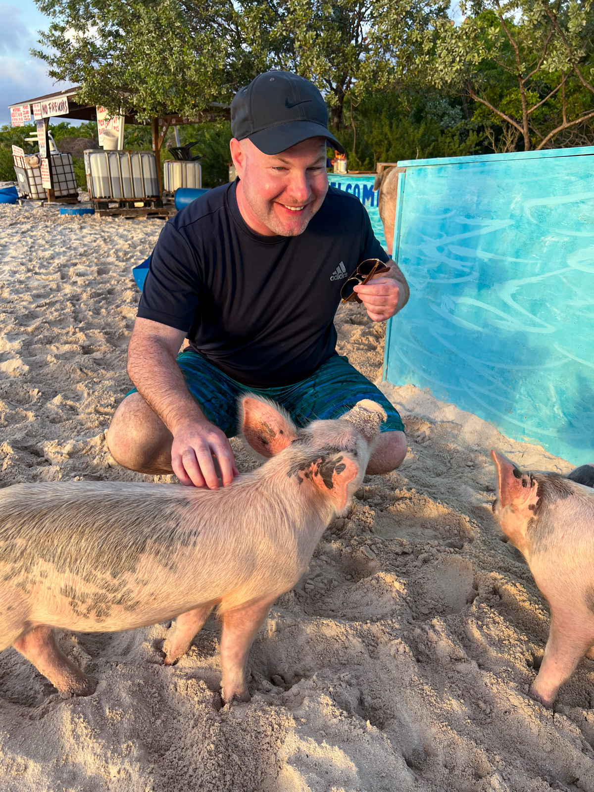 Dave with pigs at sunset