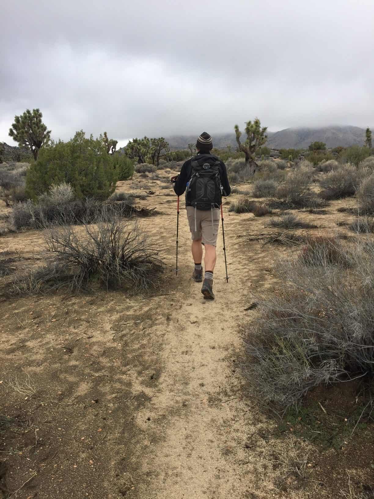 Hiking toward a cloud-covered Quail Mountain