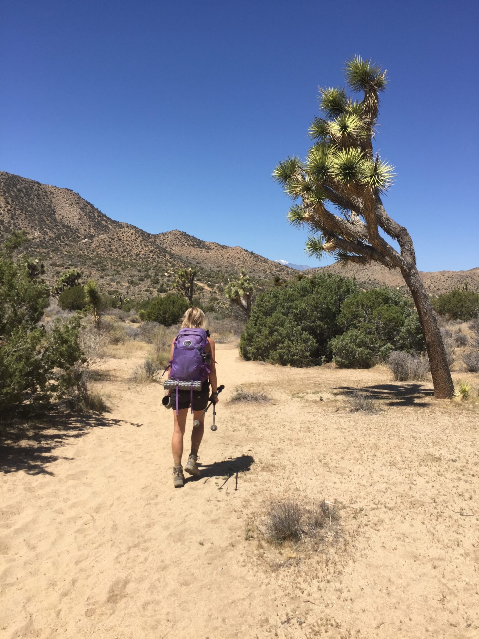 Joshua Tree Climbing The 10 Highest Peaks in the Park Go Backpacking